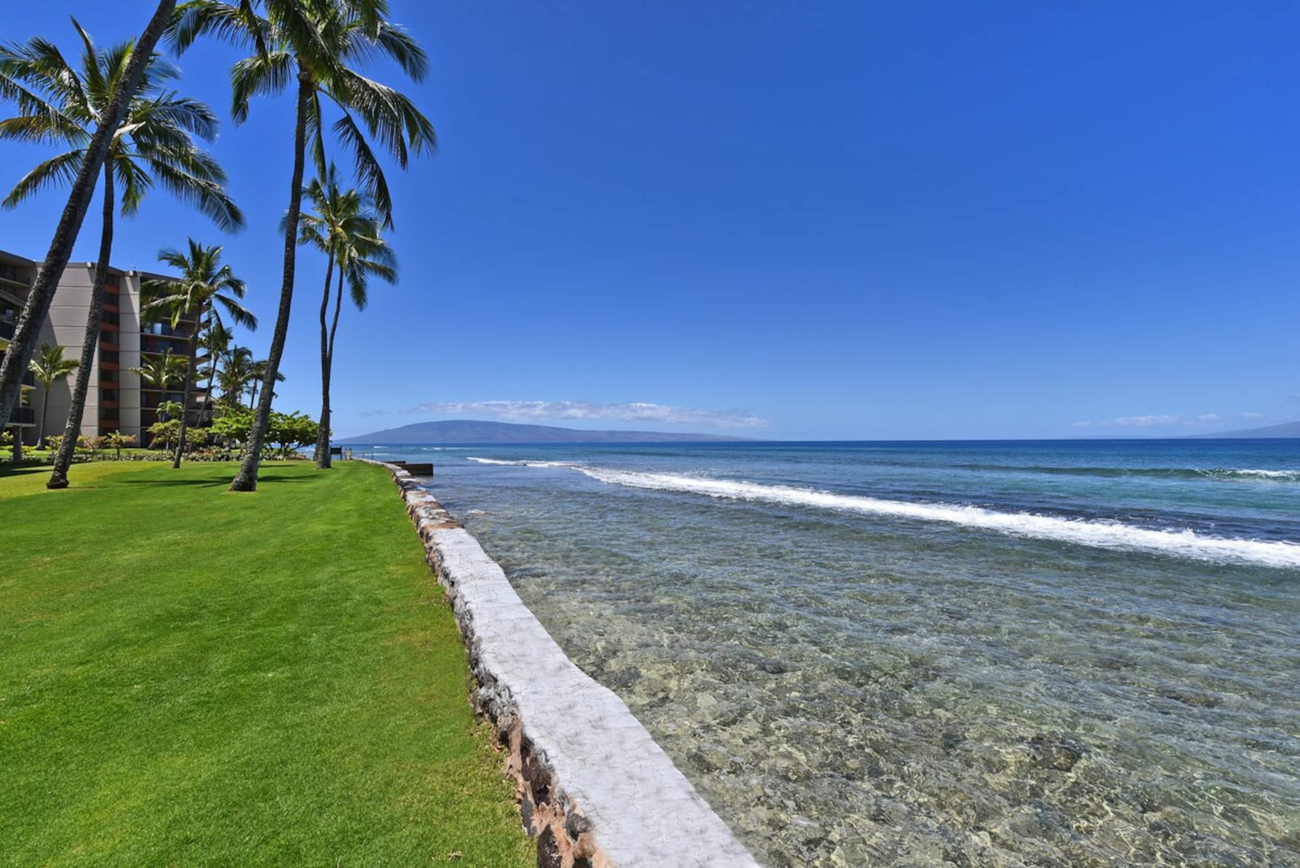 Condo in Lahaina · ★4.84 · 1 bedroom · 2 beds · 1 bath - Image 70