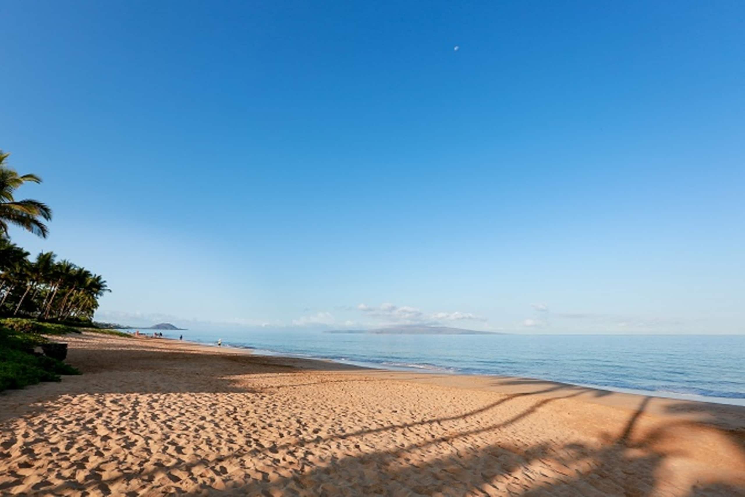 Condo in Wailea · ★4.8 · 2 bedrooms · 3 beds · 2 baths - Image 65