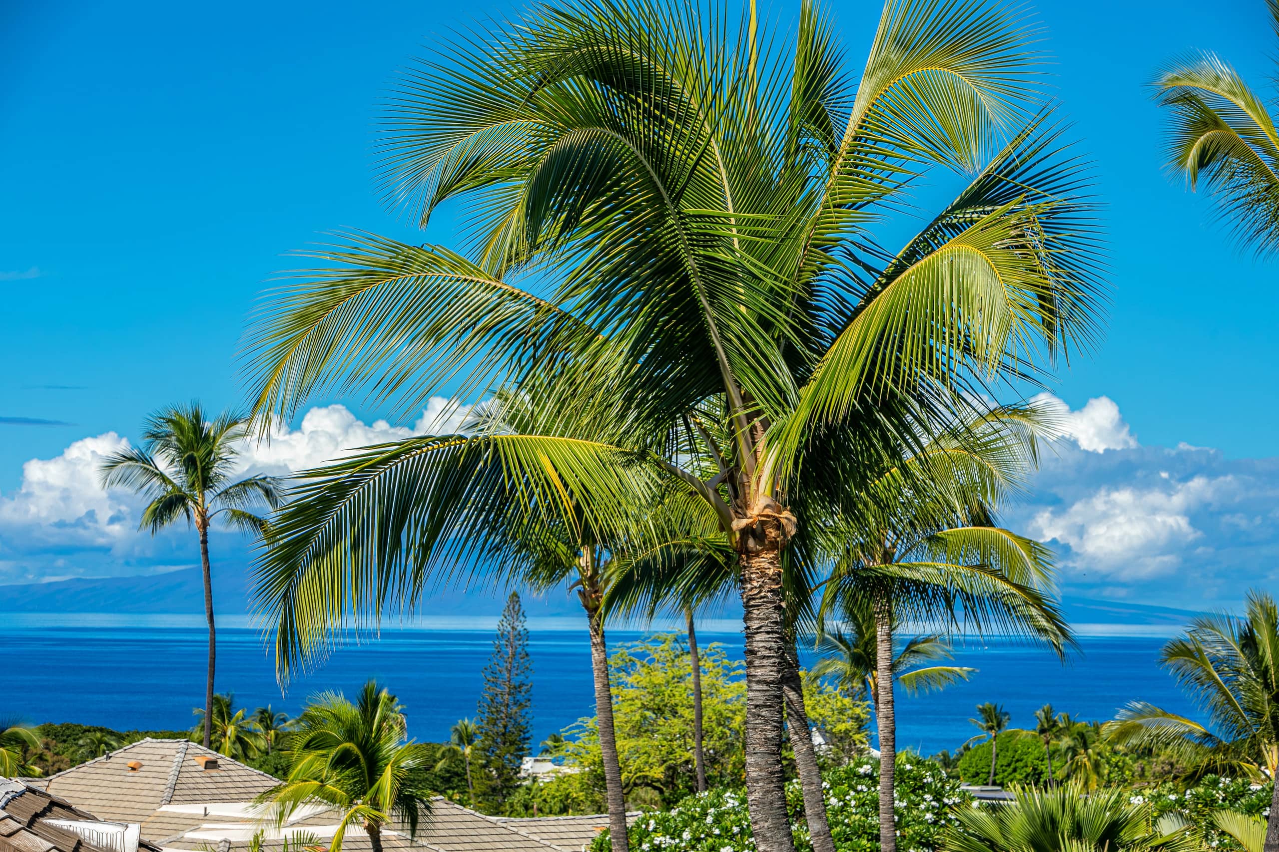 Condo in Wailea · ★4.83 · 2 bedrooms · 3 beds · 2 private baths - Image 1