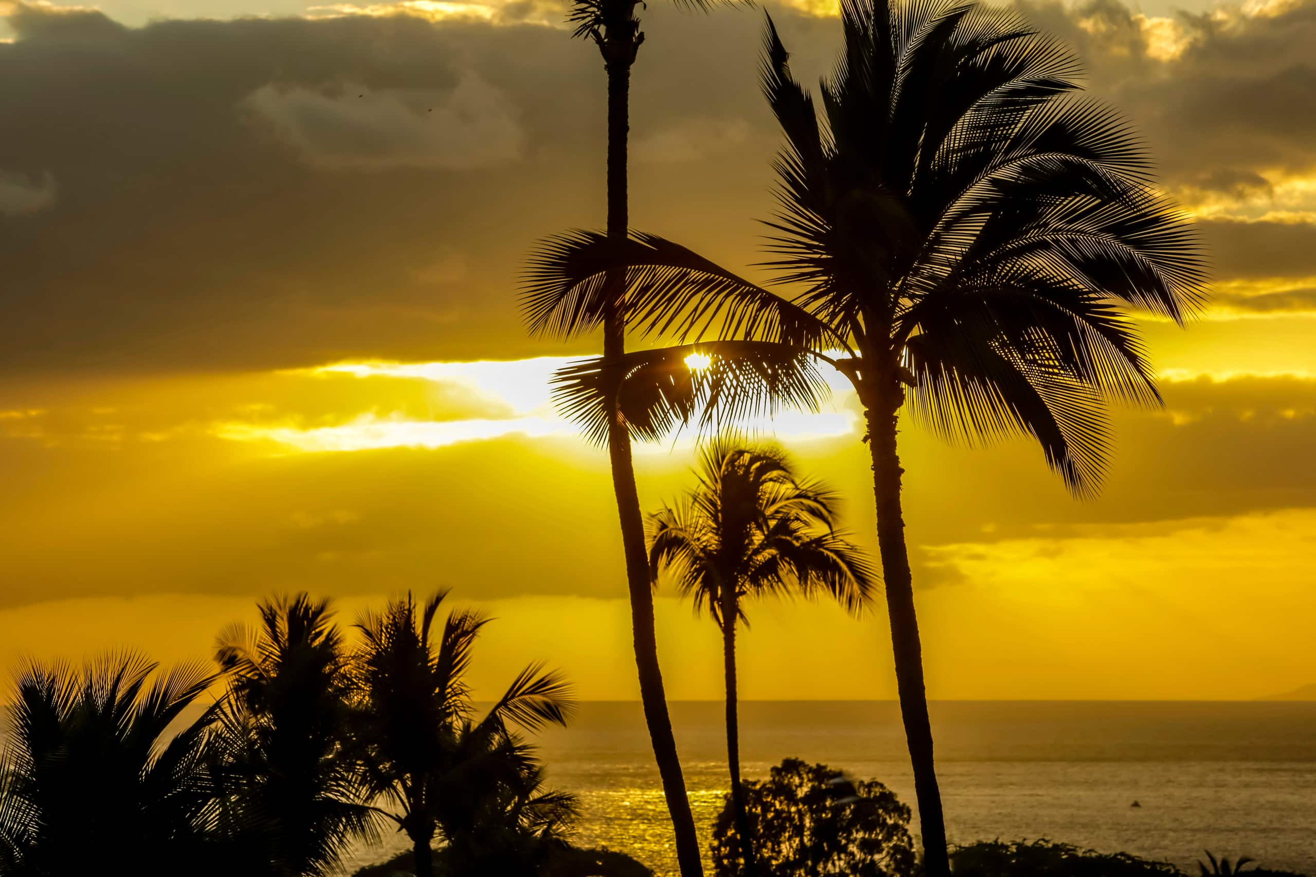 Condo in Wailea · ★4.83 · 2 bedrooms · 3 beds · 2 private baths - Image 45