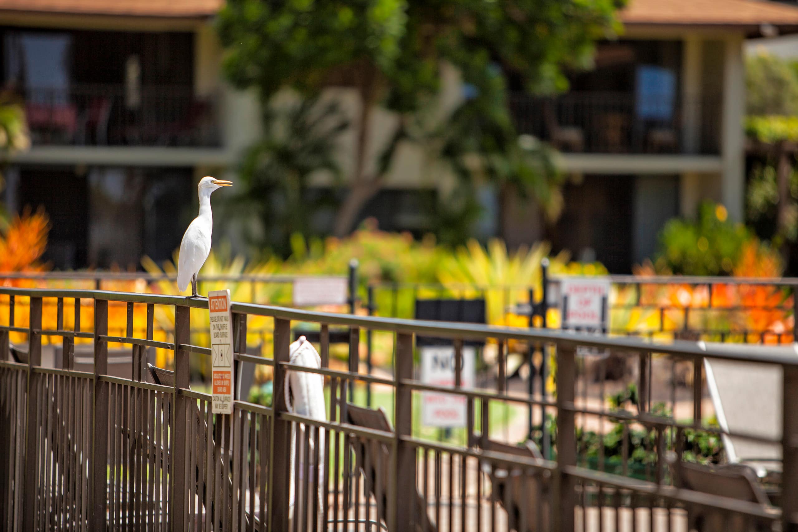 Condo in Kihei · ★4.86 · 1 bedroom · 2 beds · 1 private bath - Image 26