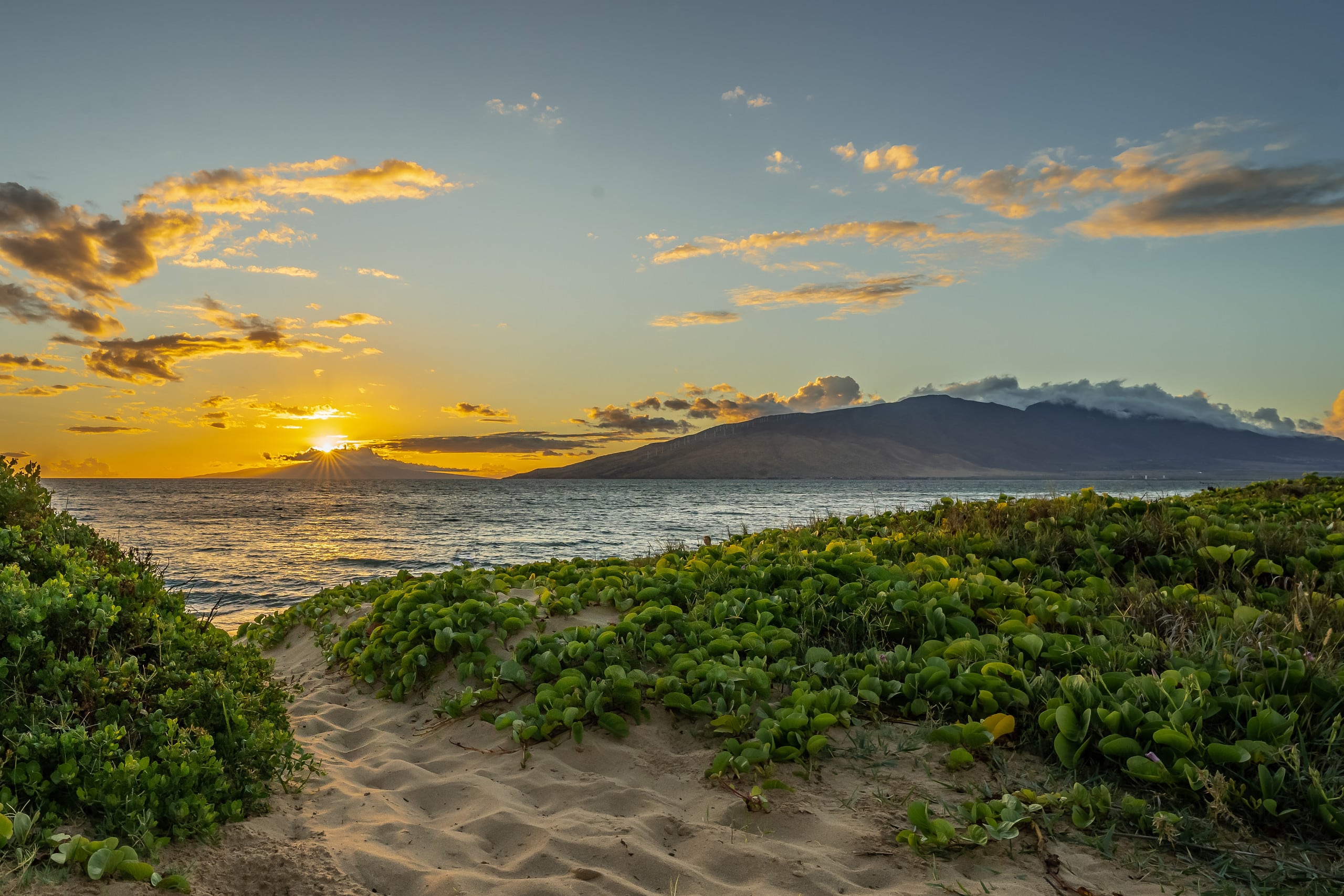 Condo in Kihei · ★5.0 · 1 bedroom · 2 beds · 1 private bath - Image 8