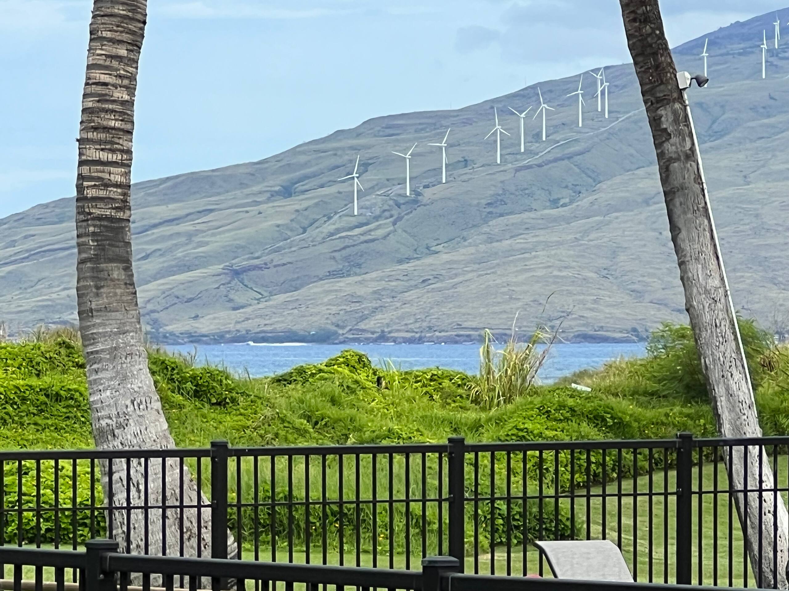 Condo in Kihei · ★5.0 · 1 bedroom · 2 beds · 1 private bath - Image 7