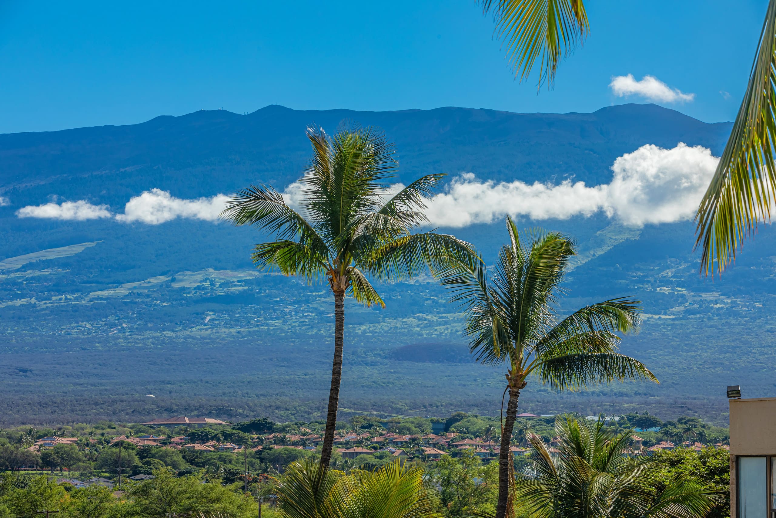 Condo in Kihei · ★4.6 · 1 bedroom · 2 beds · 2 baths - Image 39