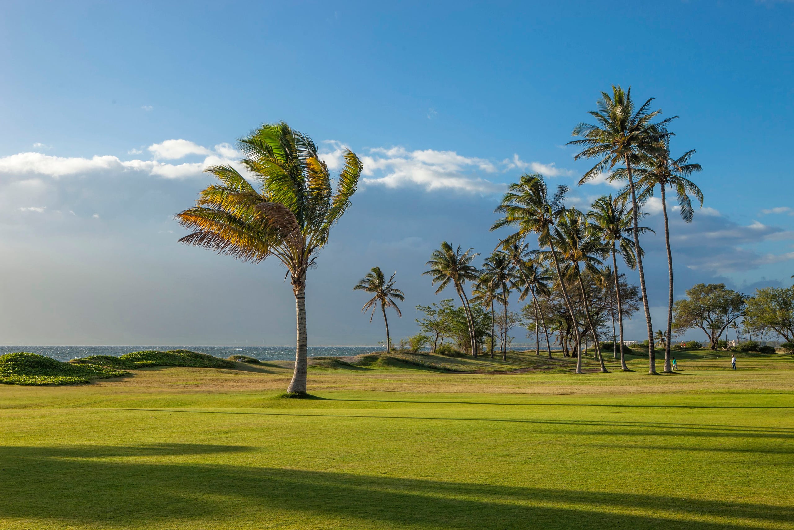 Condo in Kihei · ★4.6 · 1 bedroom · 2 beds · 2 baths - Image 29