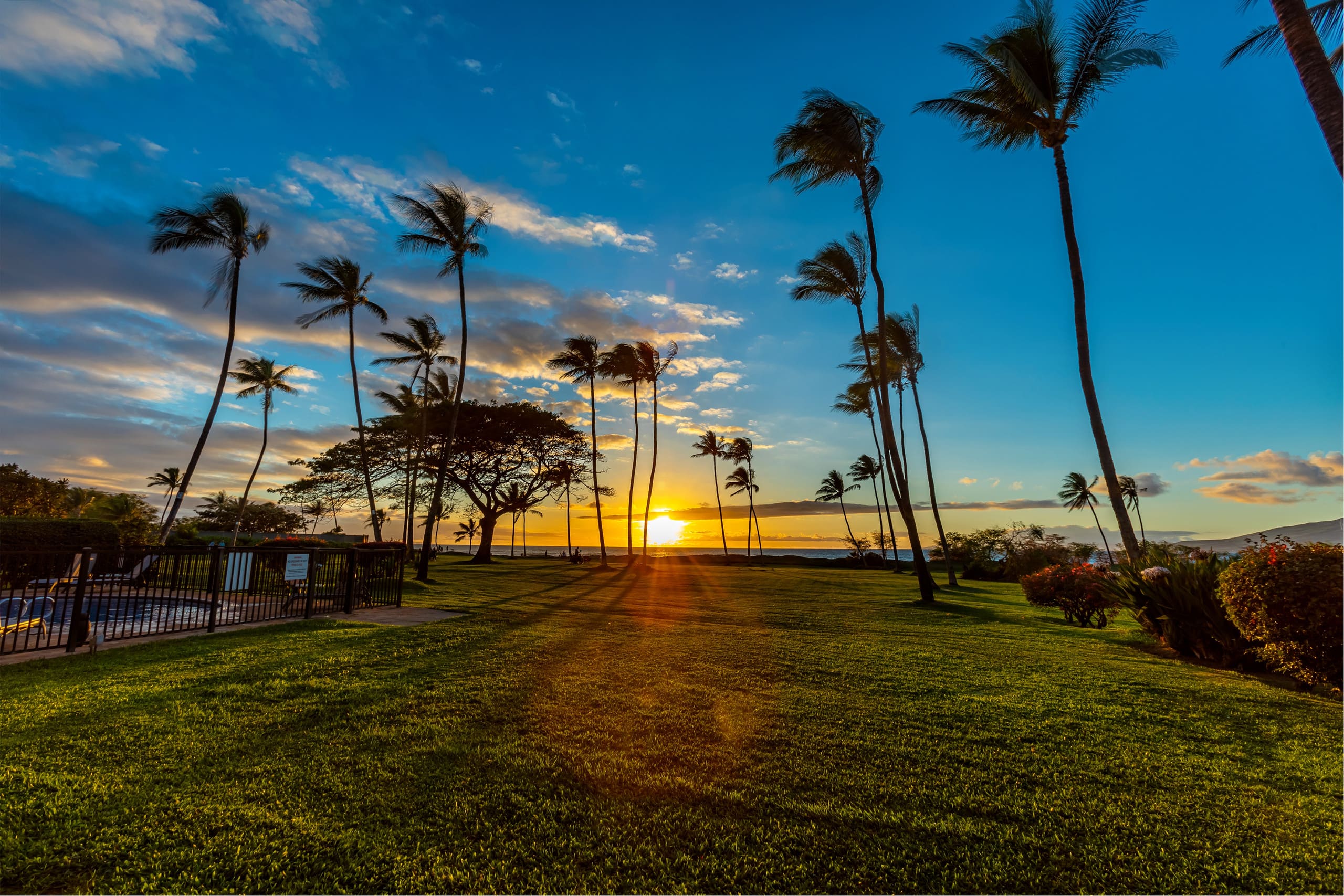 Condo in Kihei · ★4.97 · 1 bedroom · 1 bed · 1 bath - Image 36