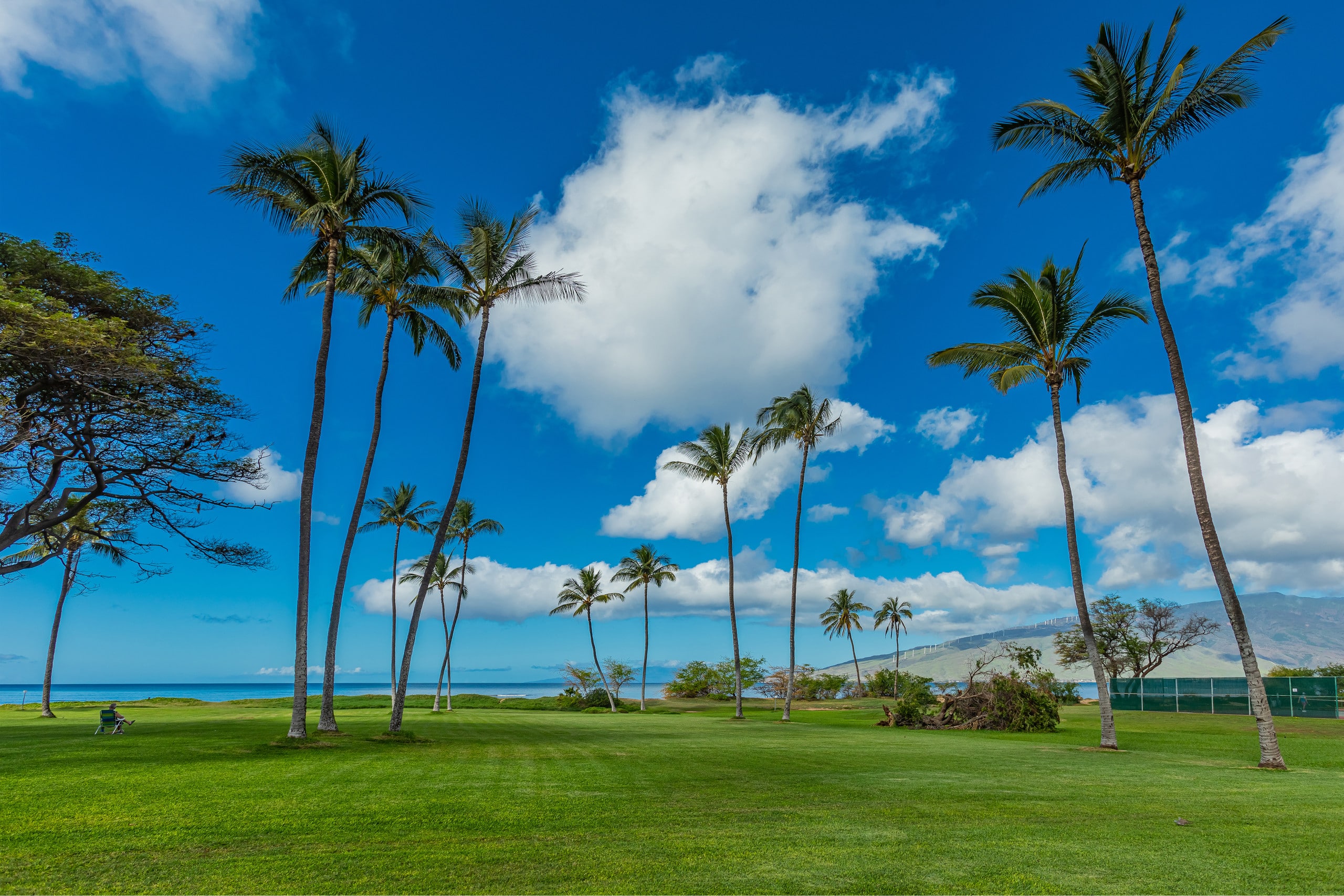 Condo in Kihei · ★4.97 · 1 bedroom · 1 bed · 1 bath - Image 32