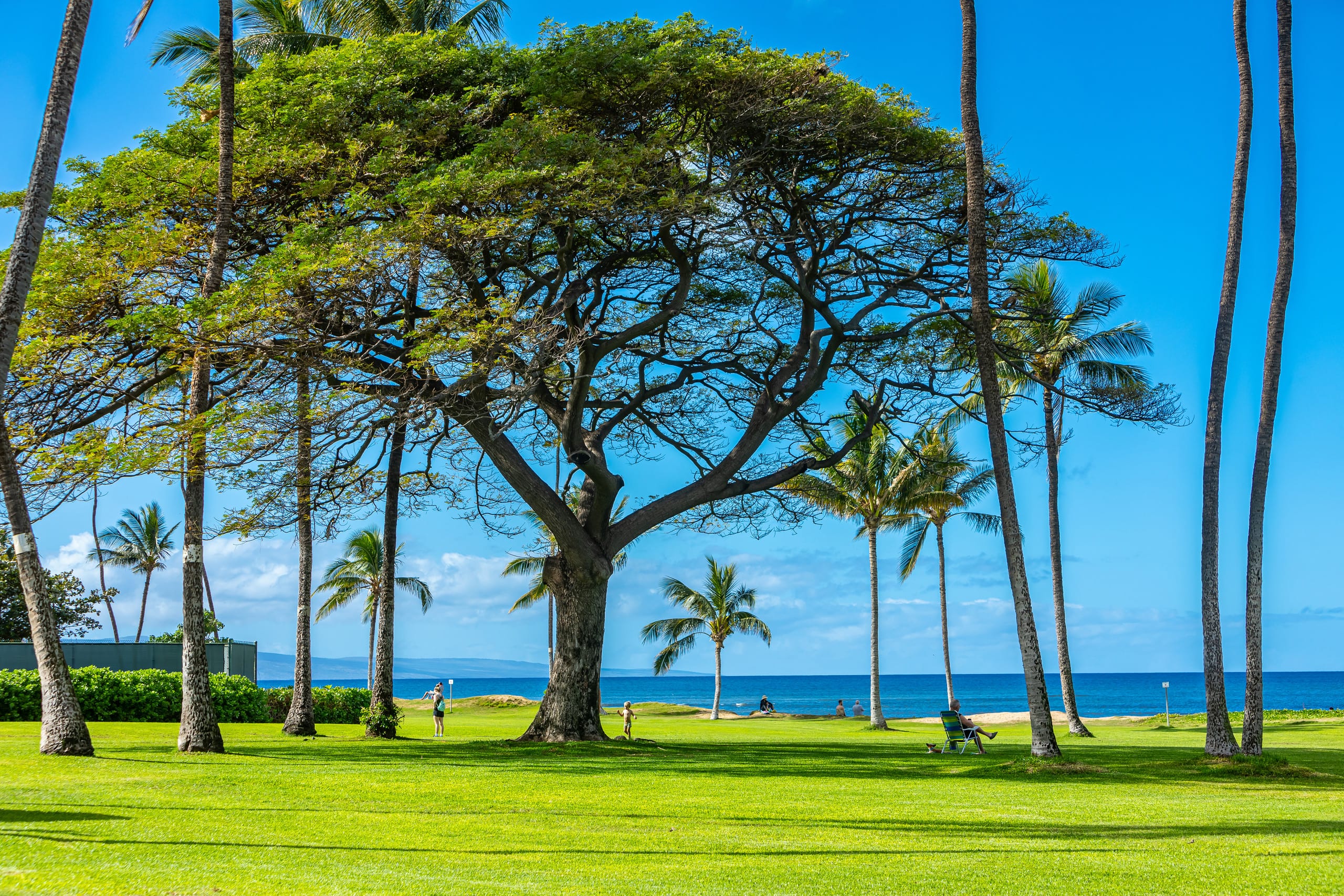 Condo in Kihei · ★4.97 · 1 bedroom · 1 bed · 1 bath - Image 35