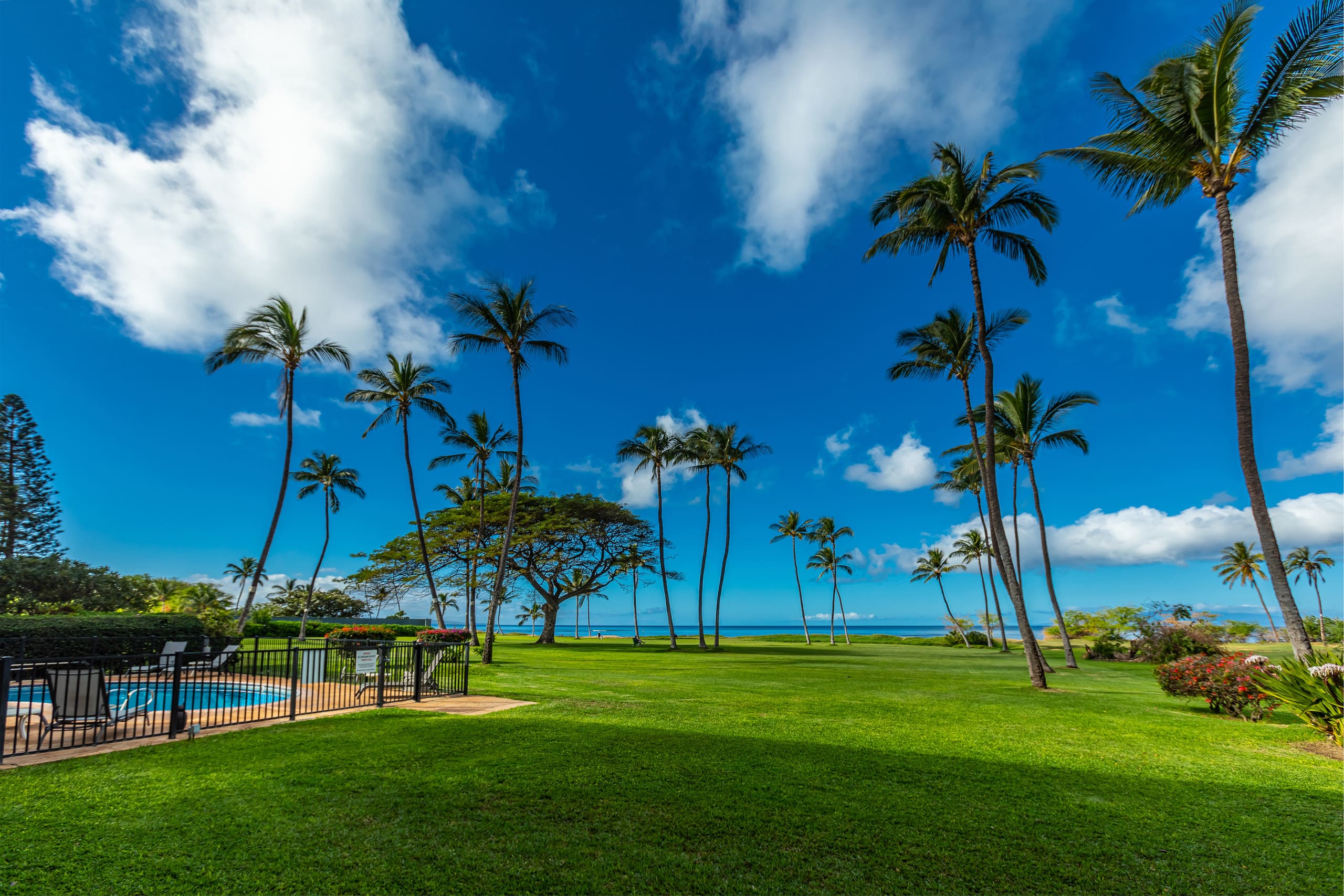 Condo in Kihei · ★4.97 · 1 bedroom · 1 bed · 1 bath - Image 31