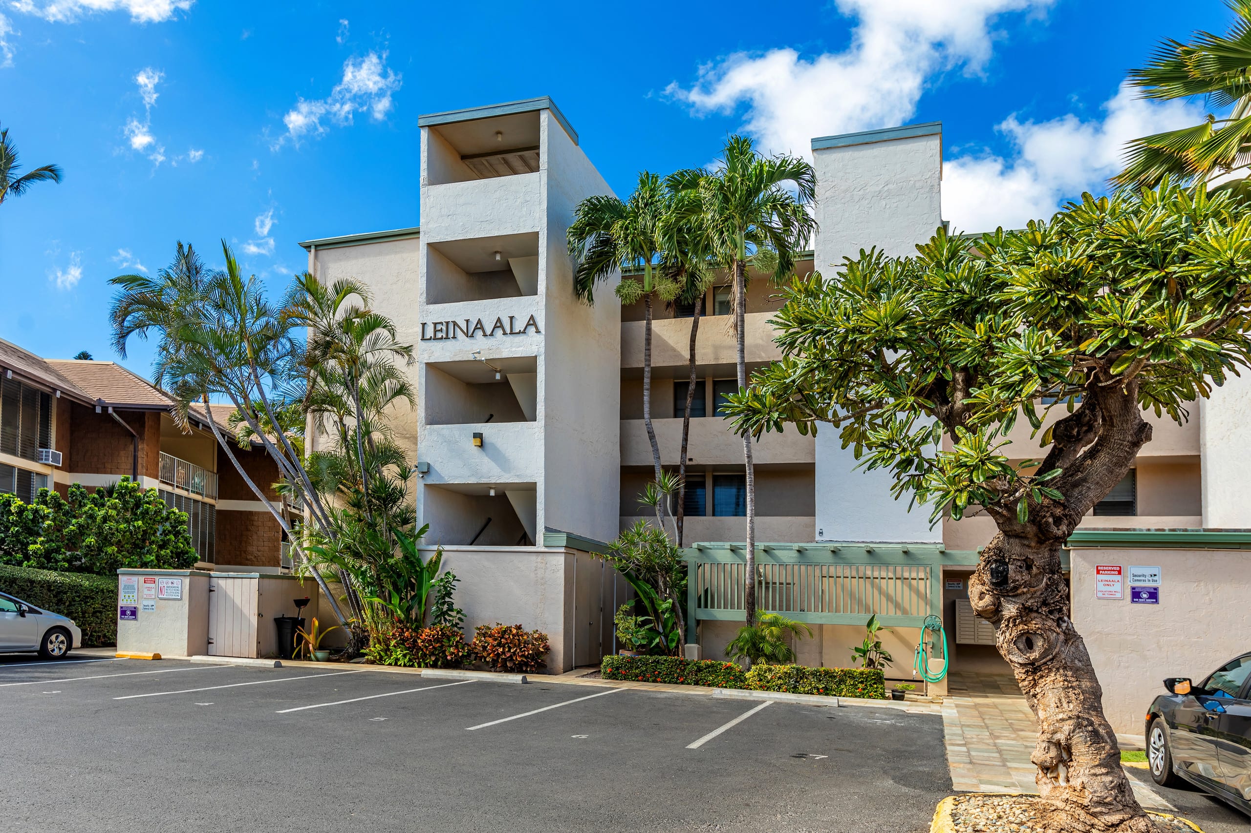 Condo in Kihei · ★4.97 · 1 bedroom · 1 bed · 1 bath - Image 27