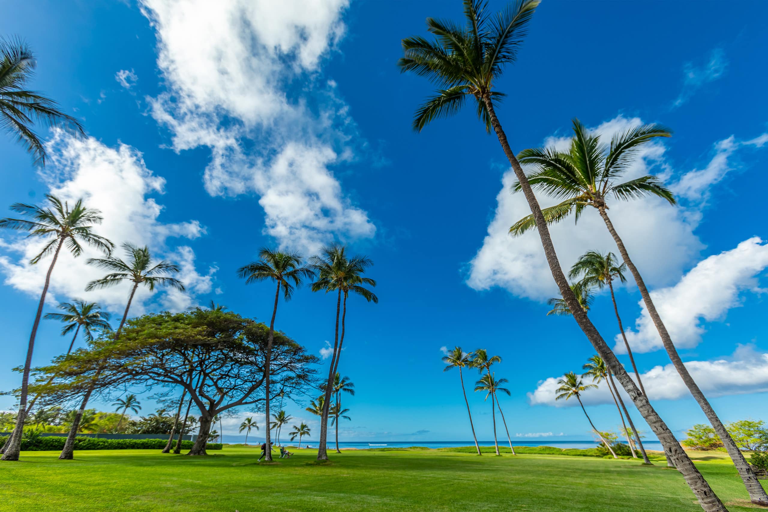 Condo in Kihei · ★4.97 · 1 bedroom · 1 bed · 1 bath - Image 30
