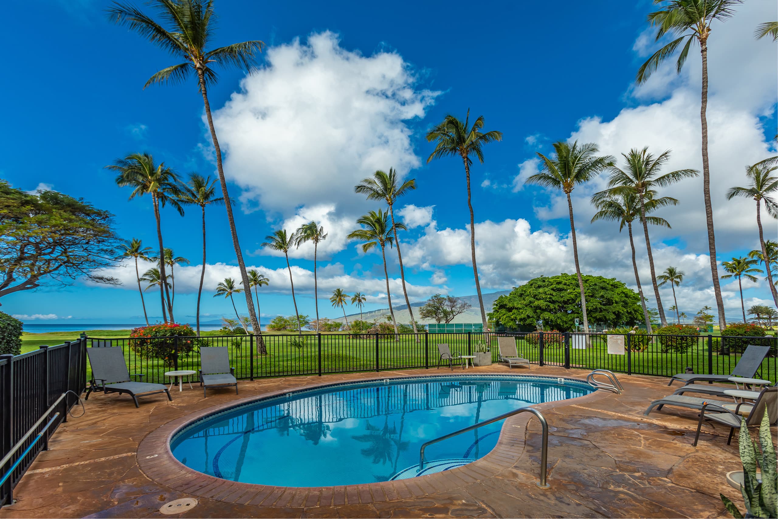 Condo in Kihei · ★4.97 · 1 bedroom · 1 bed · 1 bath - Image 29