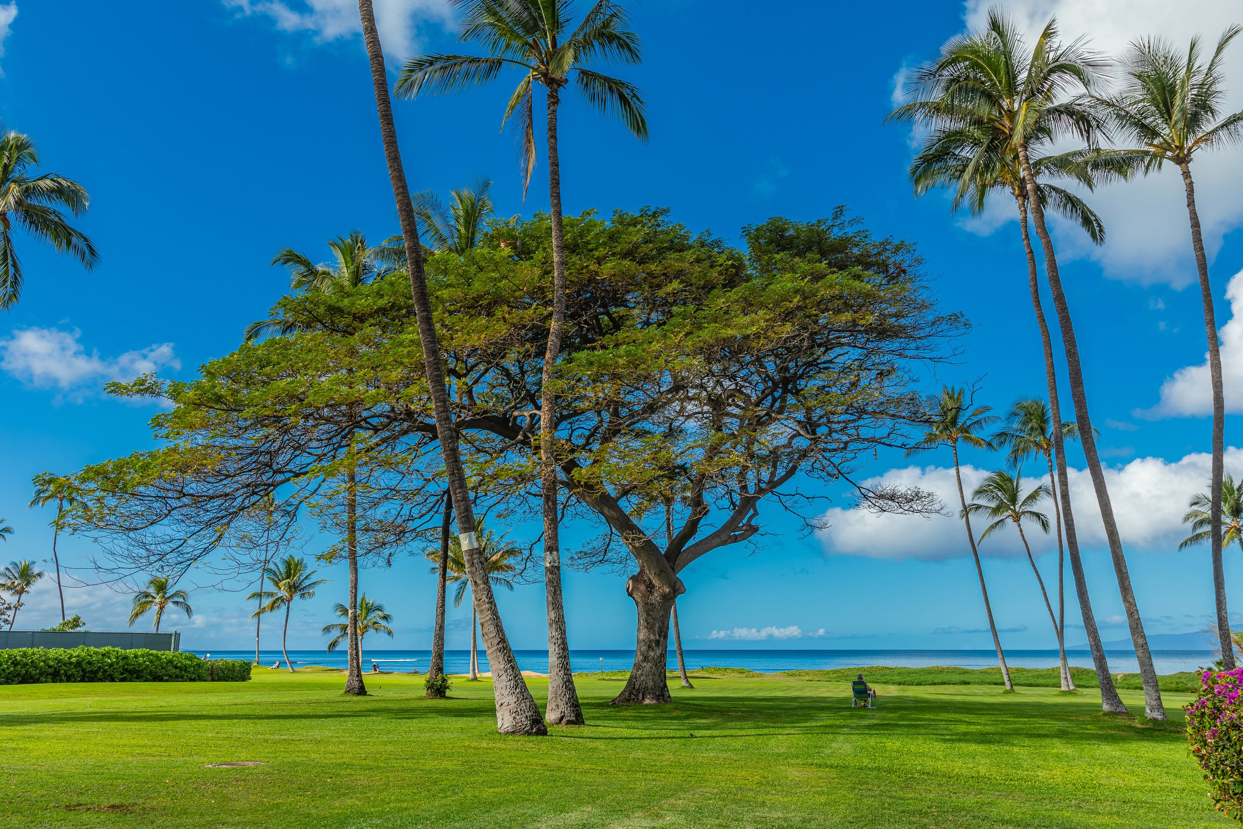 Condo in Kihei · ★4.97 · 1 bedroom · 1 bed · 1 bath - Image 33