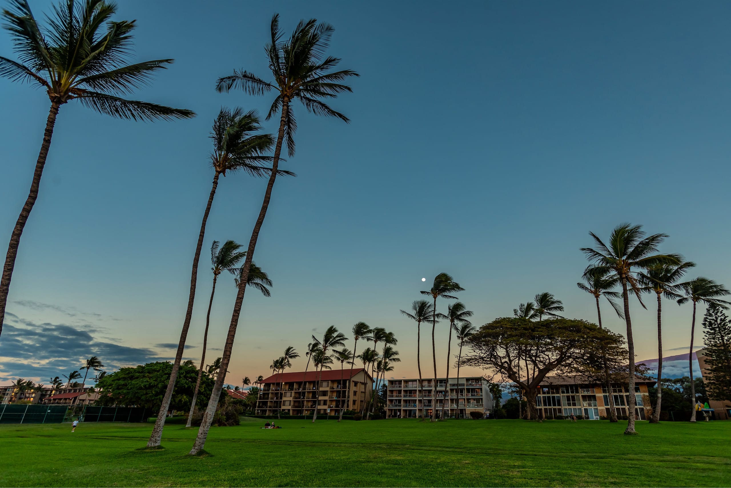 Condo in Kihei · ★4.97 · 1 bedroom · 1 bed · 1 bath - Image 26