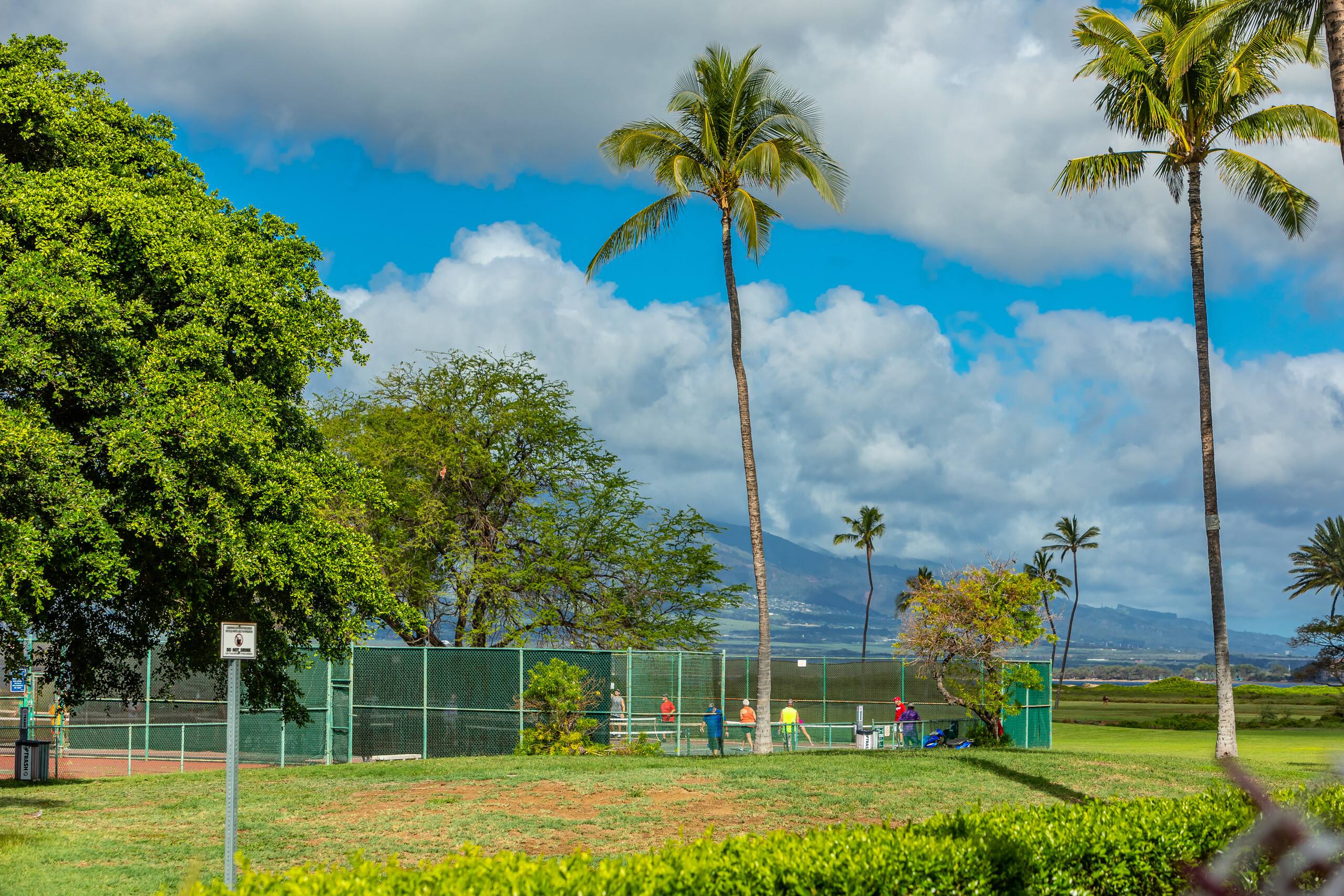 Condo in Kihei · ★4.97 · 1 bedroom · 1 bed · 1 bath - Image 34