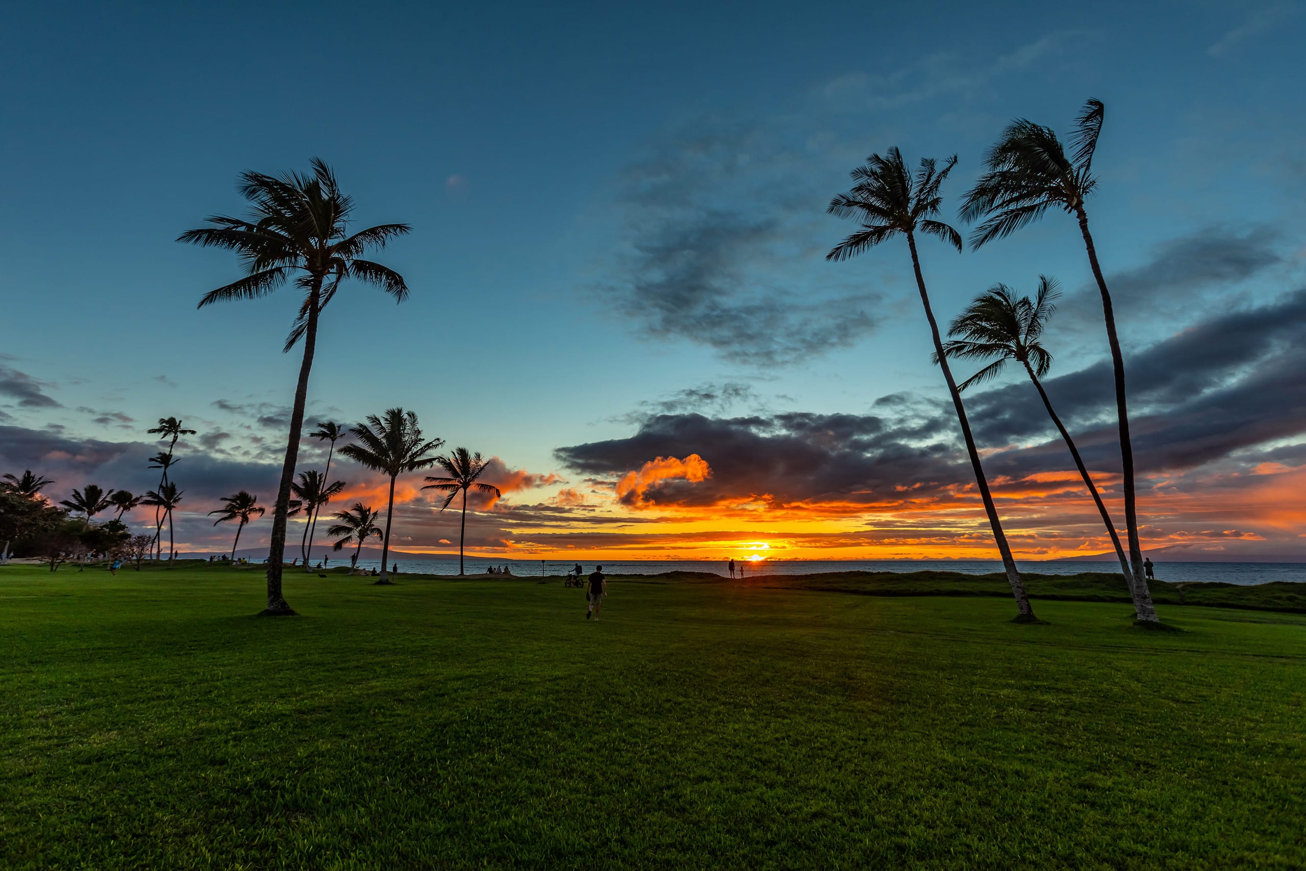 Condo in Kihei · ★4.97 · 1 bedroom · 1 bed · 1 bath - Image 42