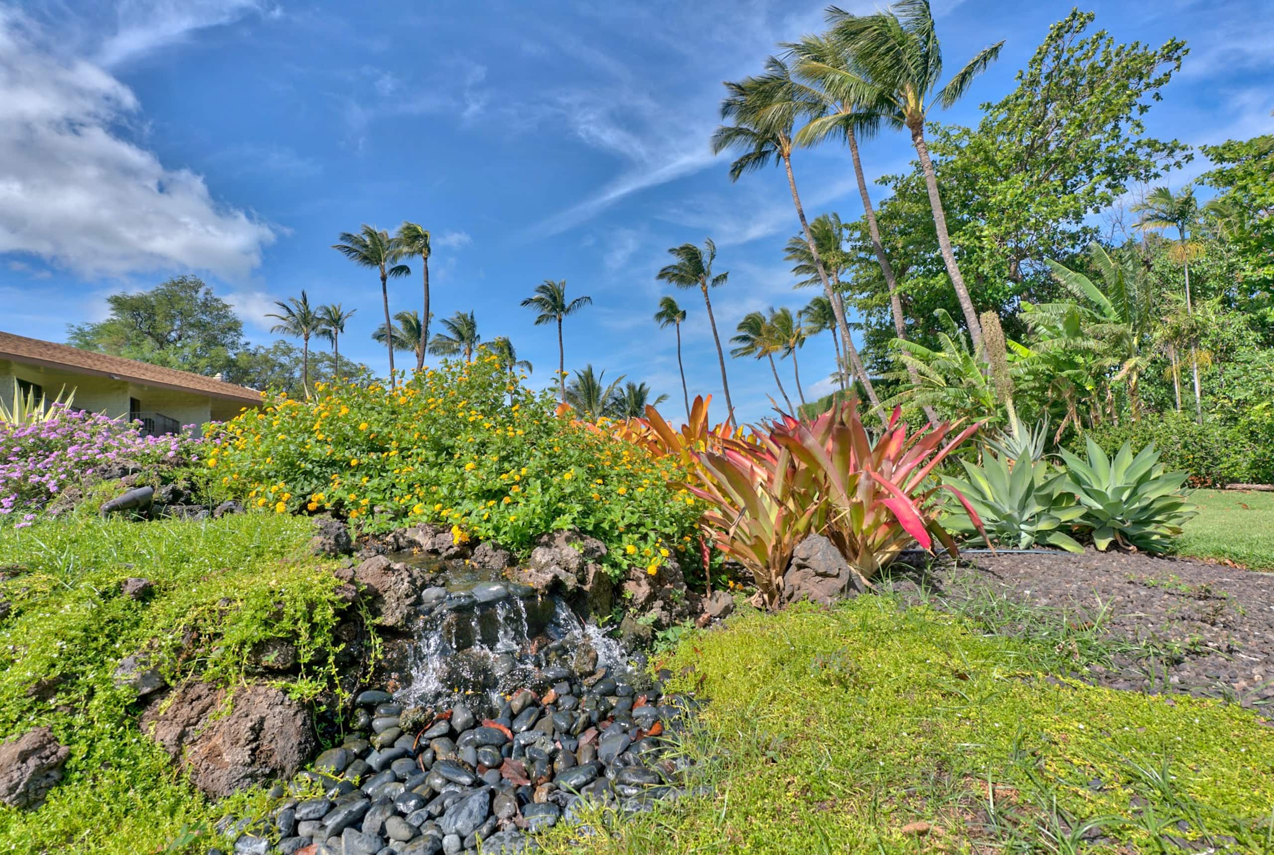 Condo in Kihei · ★4.78 · 1 bedroom · 2 beds · 1 private bath - Image 31