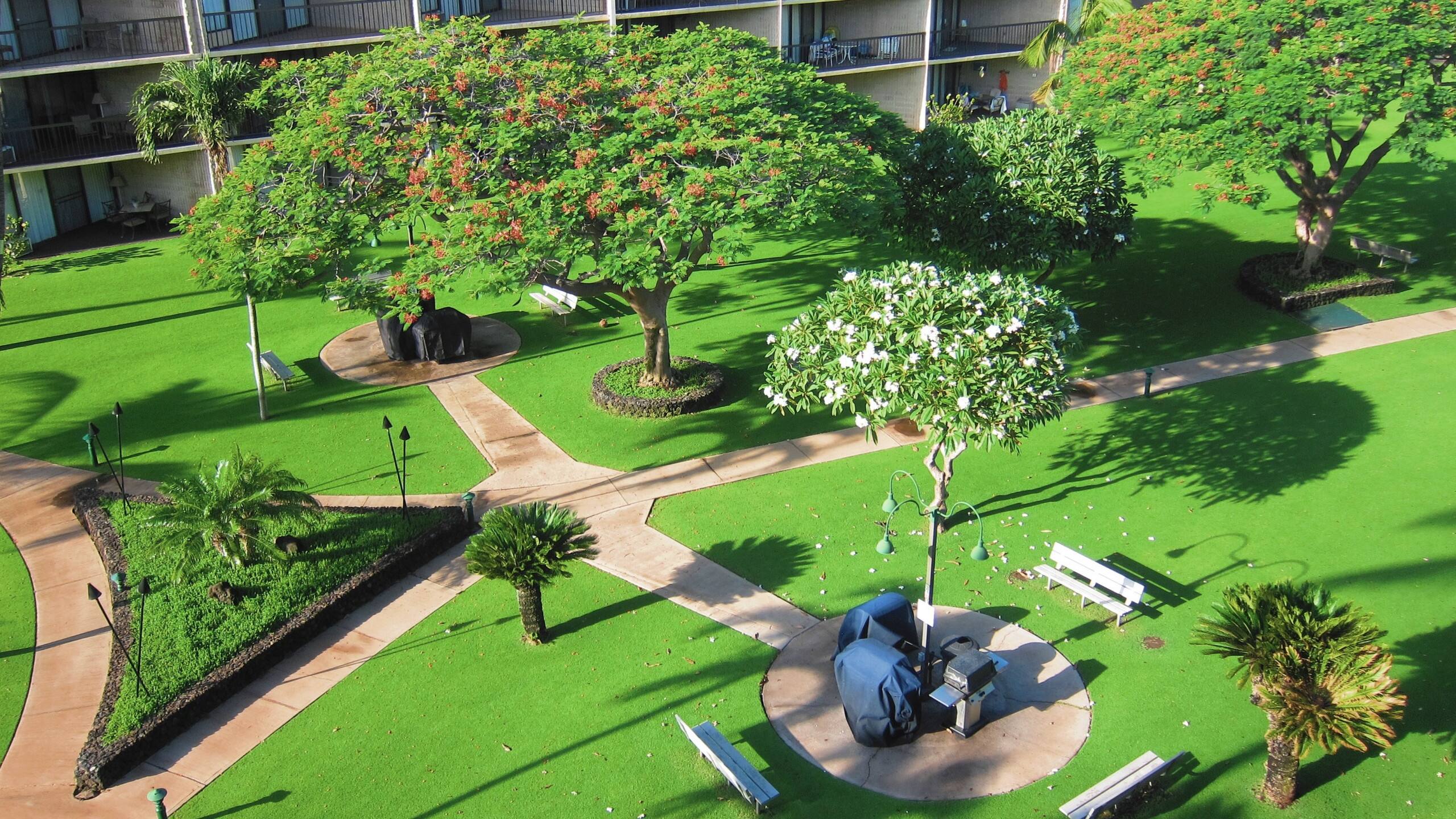 Condo in Kihei · ★4.67 · 1 bedroom · 2 beds · 2 private baths - Image 34