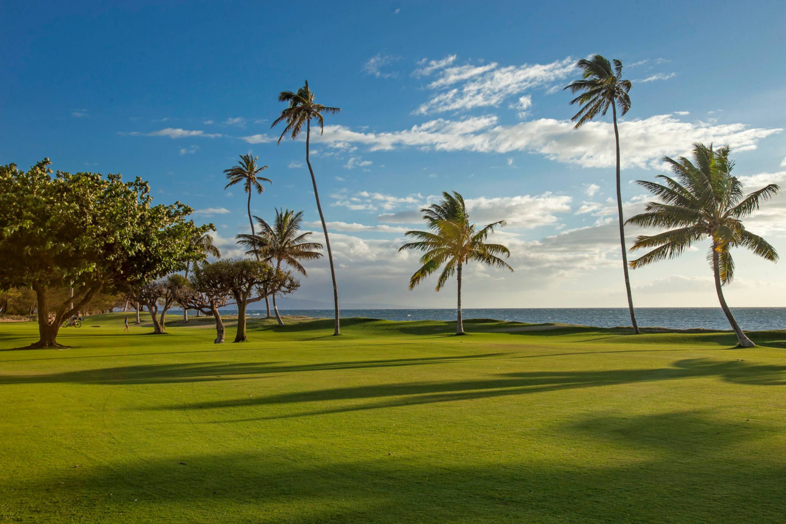 Condo in Kihei · ★4.67 · 1 bedroom · 2 beds · 2 private baths - Image 19