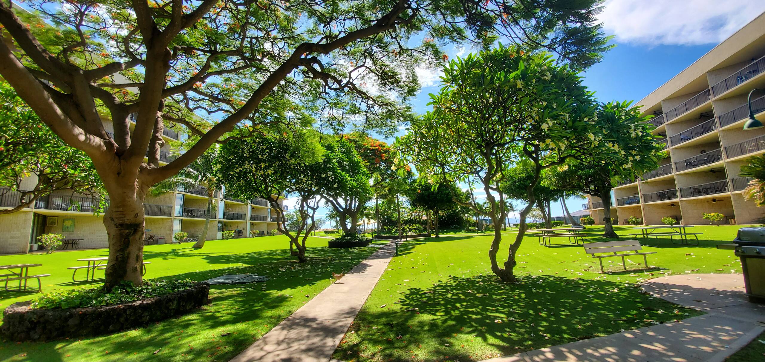 Condo in Kihei · ★4.67 · 1 bedroom · 2 beds · 2 private baths - Image 26