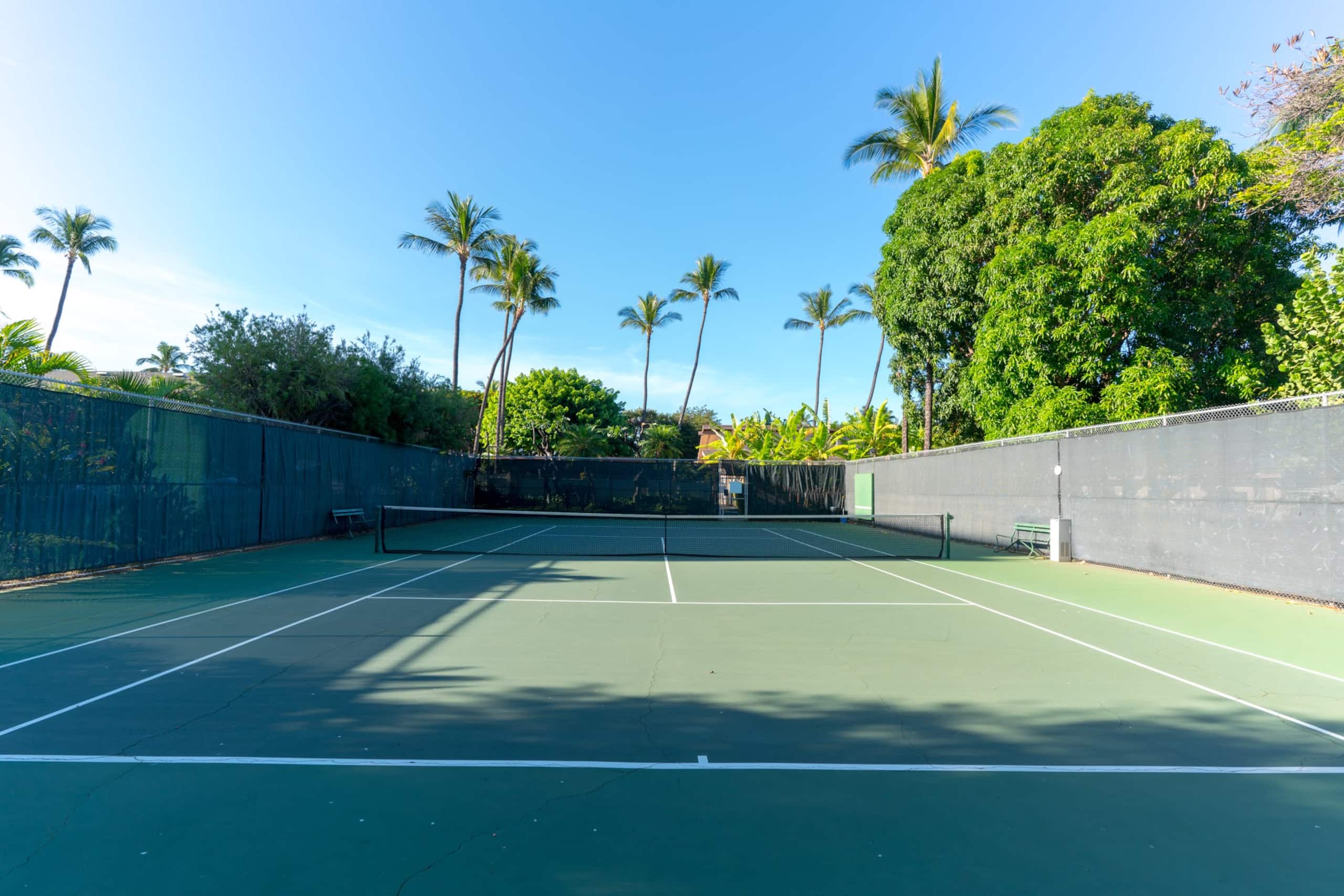 Condo in Kihei · ★5.0 · 2 bedrooms · 4 beds · 2 private baths - Image 44
