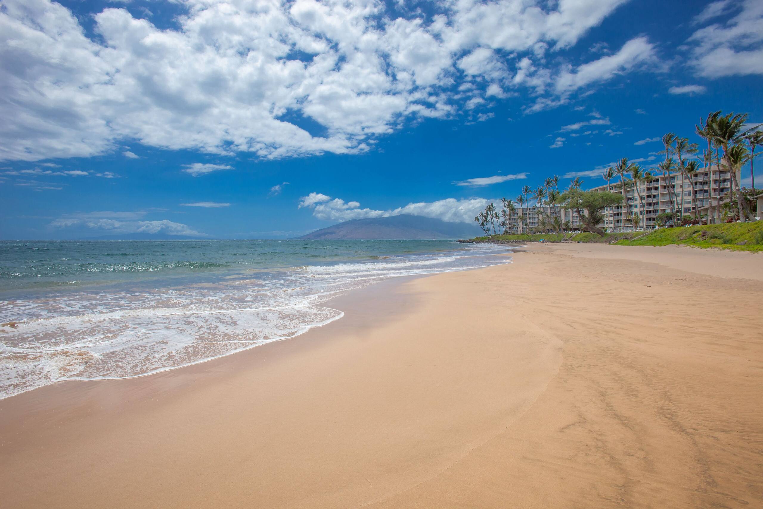 Condo in Kihei · ★5.0 · 1 bedroom · 1 bed · 1 private bath - Image 37