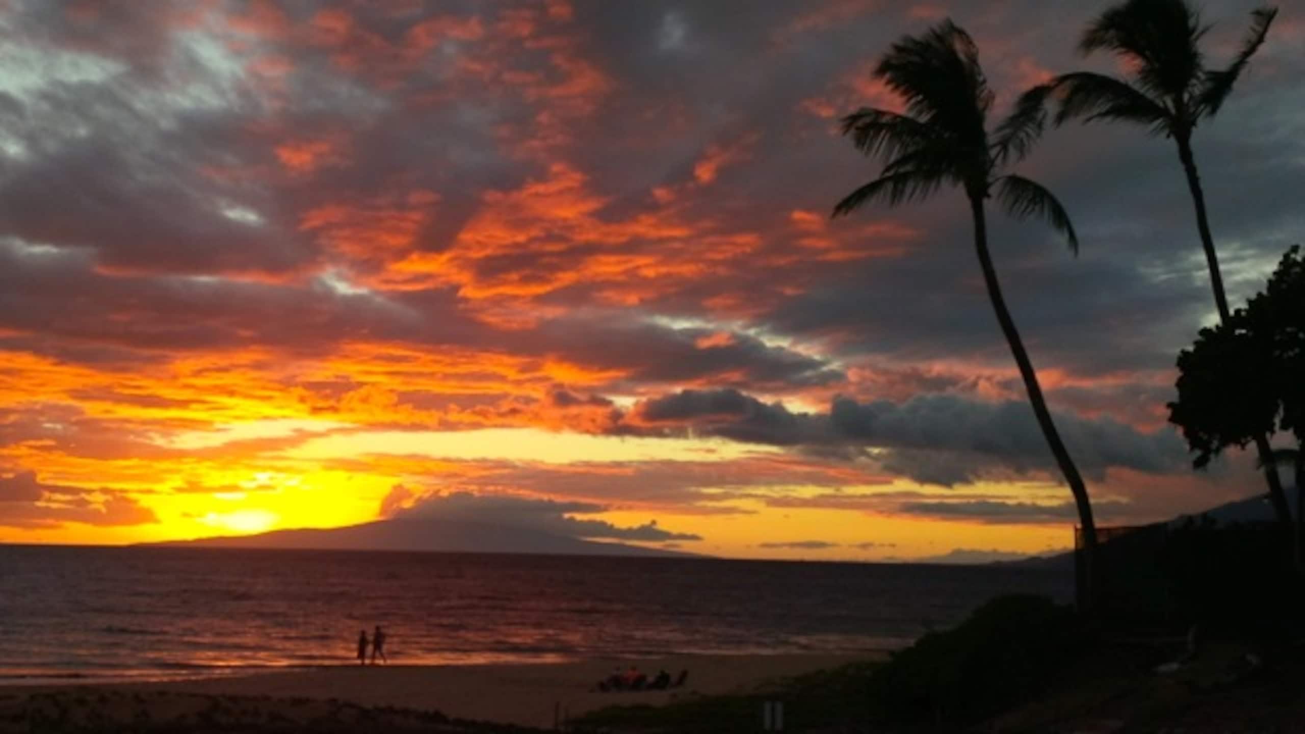 Condo in Kihei · ★5.0 · 1 bedroom · 1 bed · 1 private bath - Image 27