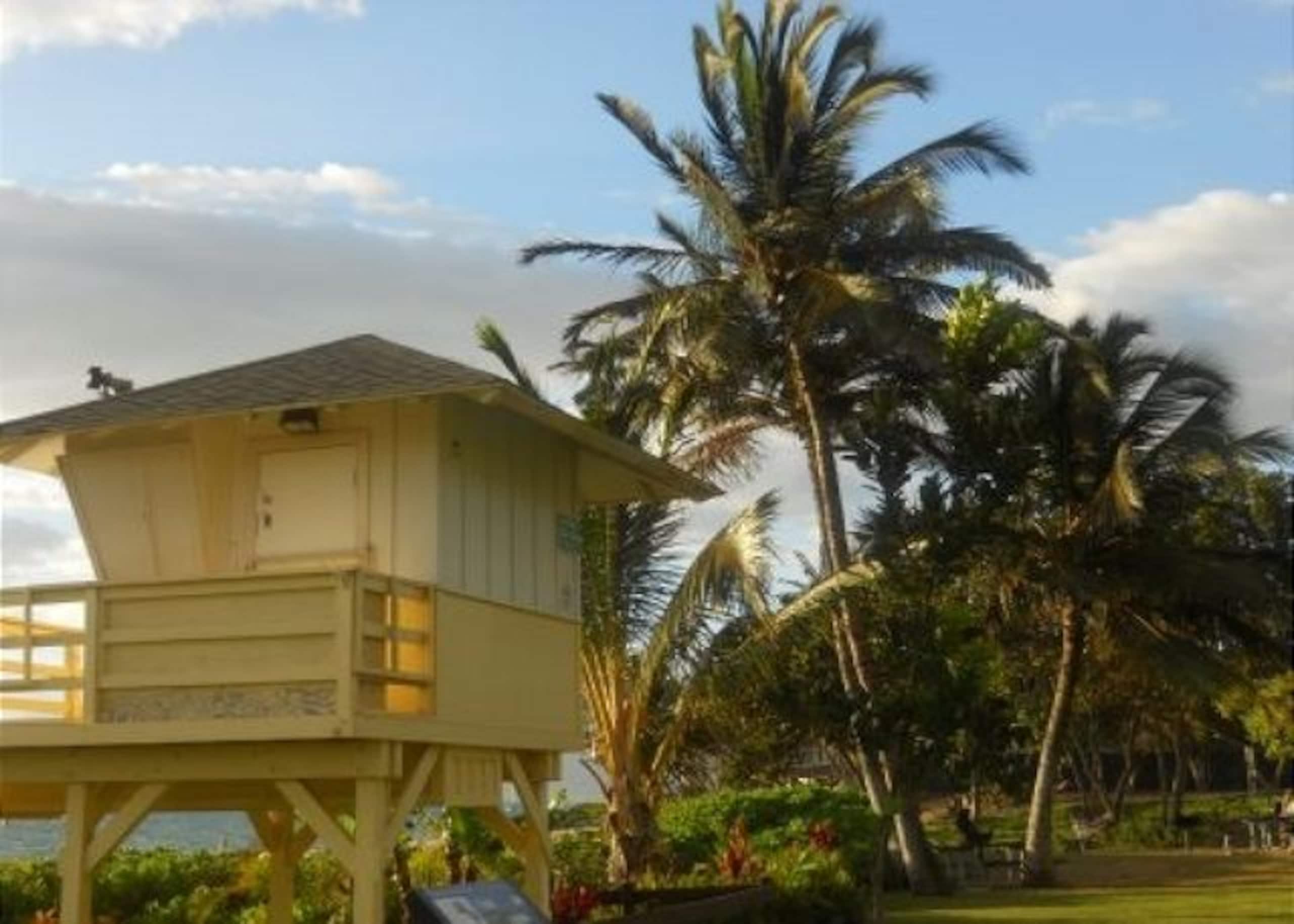 Condo in Kihei · ★5.0 · 1 bedroom · 1 bed · 1 private bath - Image 34