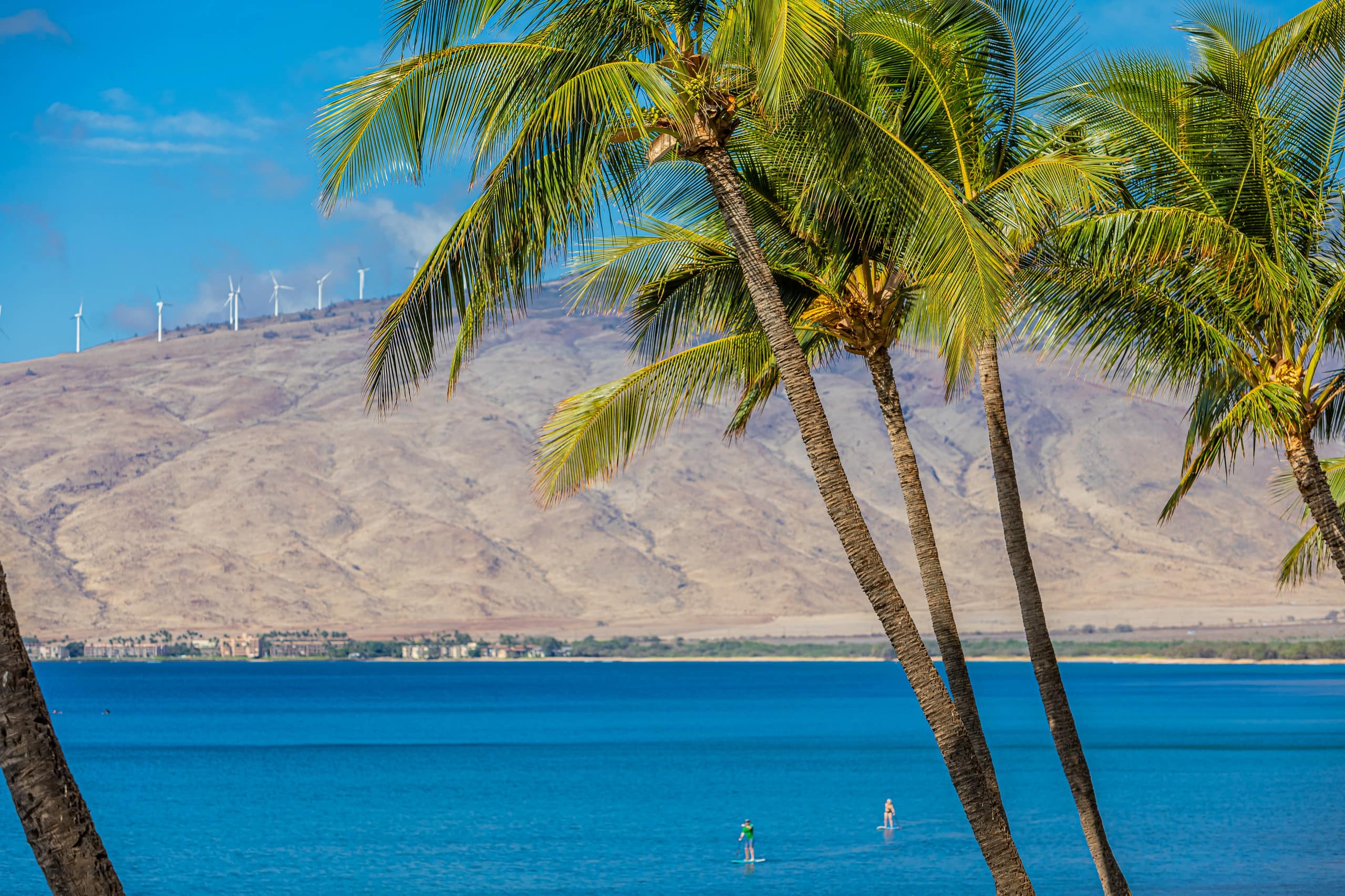 Condo in Kihei · ★4.75 · 2 bedrooms · 3 beds · 2 baths - Image 46
