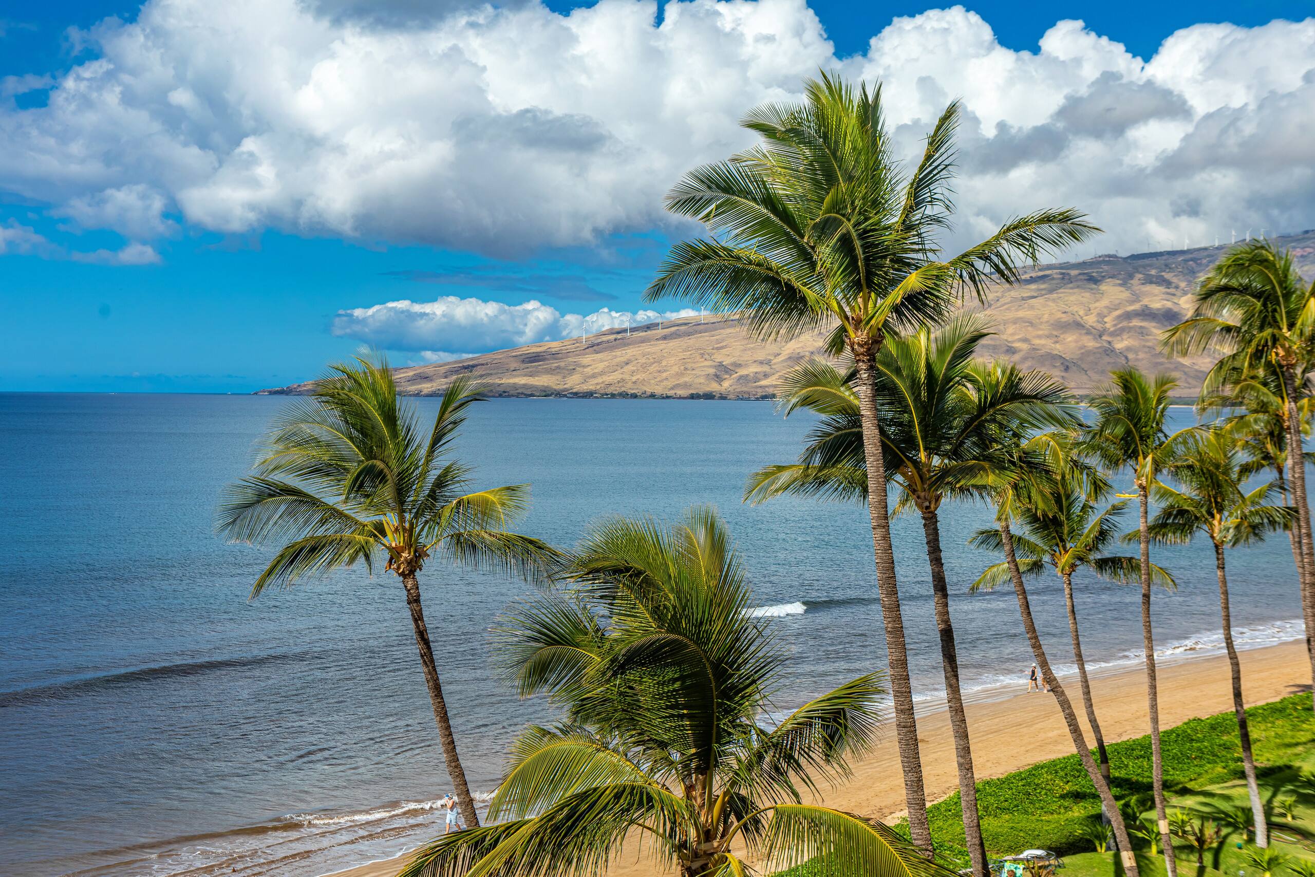 Condo in Kihei · ★4.75 · 2 bedrooms · 3 beds · 2 baths - Image 43