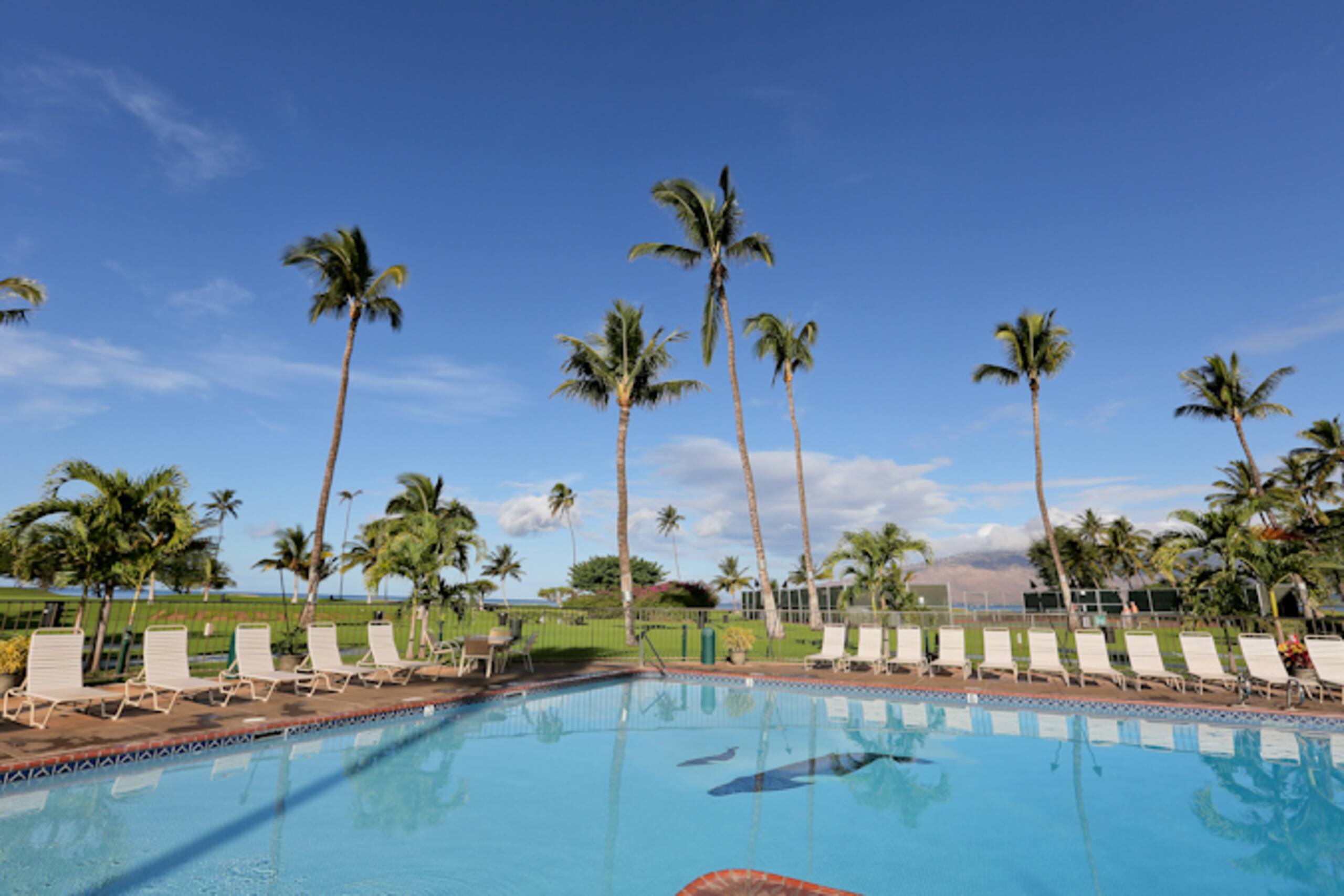 Condo in Kihei · ★4.67 · 1 bedroom · 1 bed · 2 private baths - Image 31