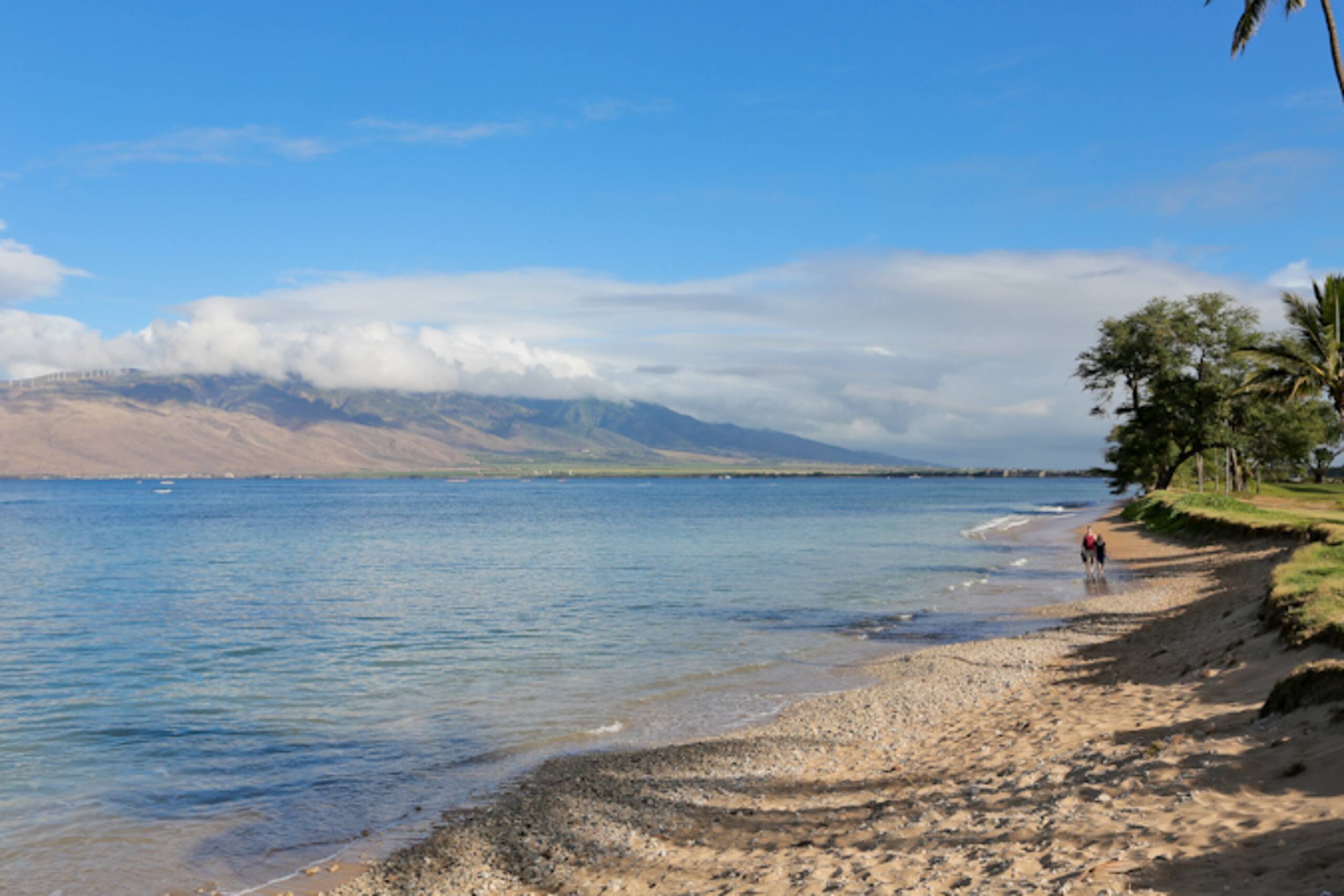 Condo in Kihei · ★4.67 · 1 bedroom · 1 bed · 2 private baths - Image 26