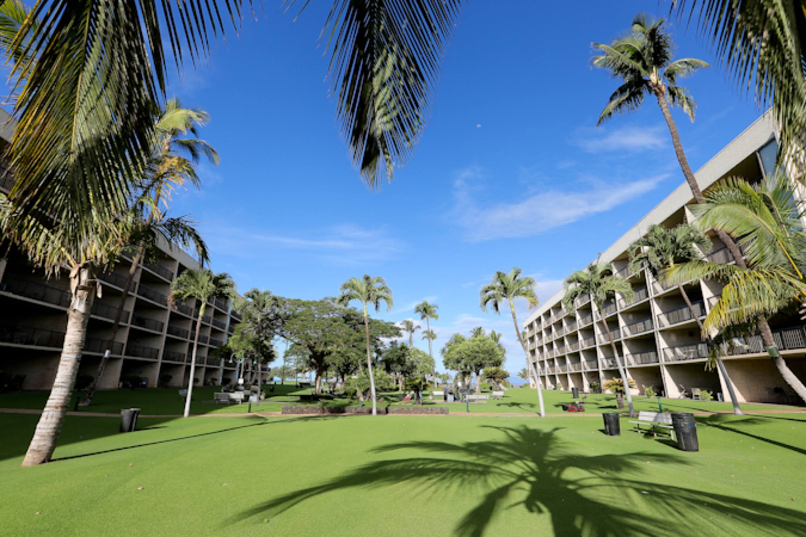 Condo in Kihei · ★4.67 · 1 bedroom · 1 bed · 2 private baths - Image 37