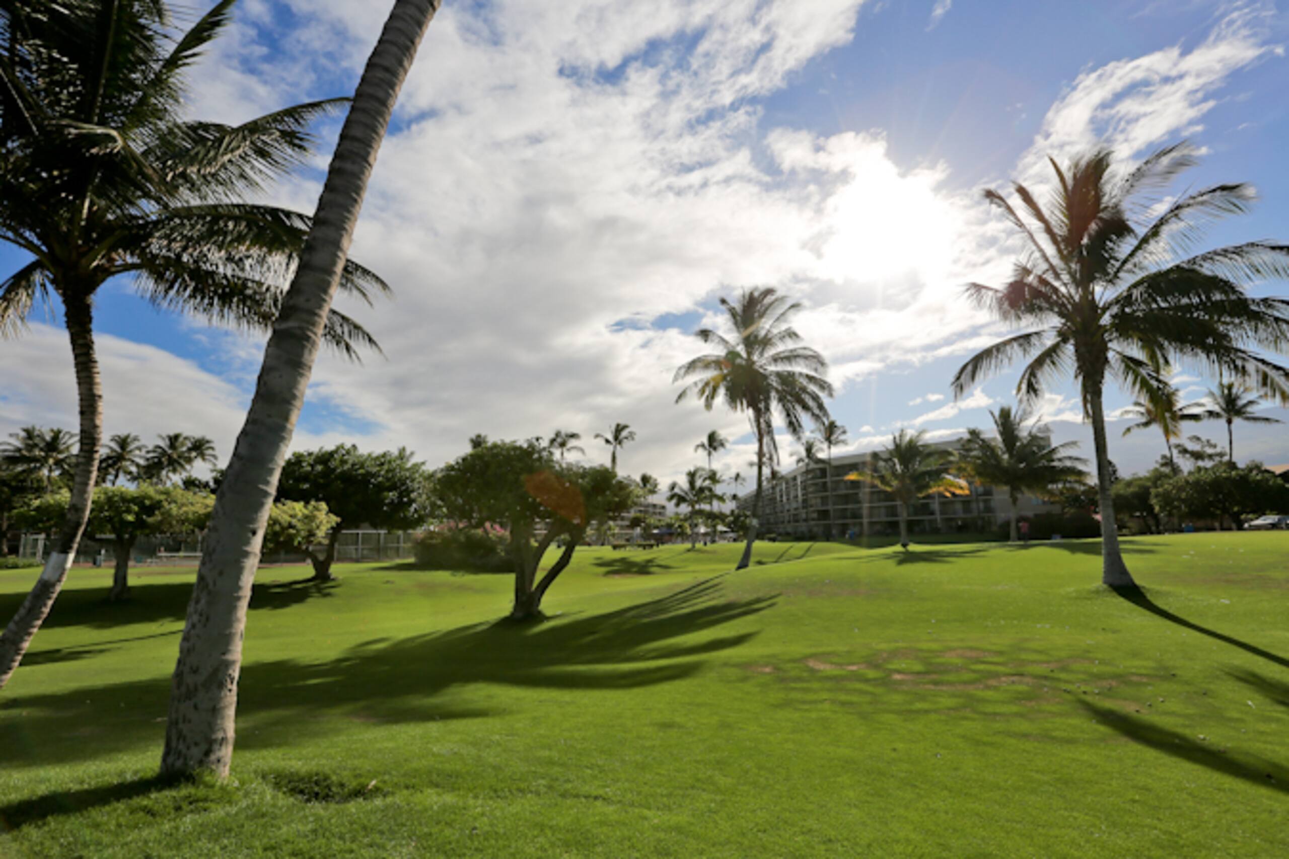 Condo in Kihei · ★4.67 · 1 bedroom · 1 bed · 2 private baths - Image 23