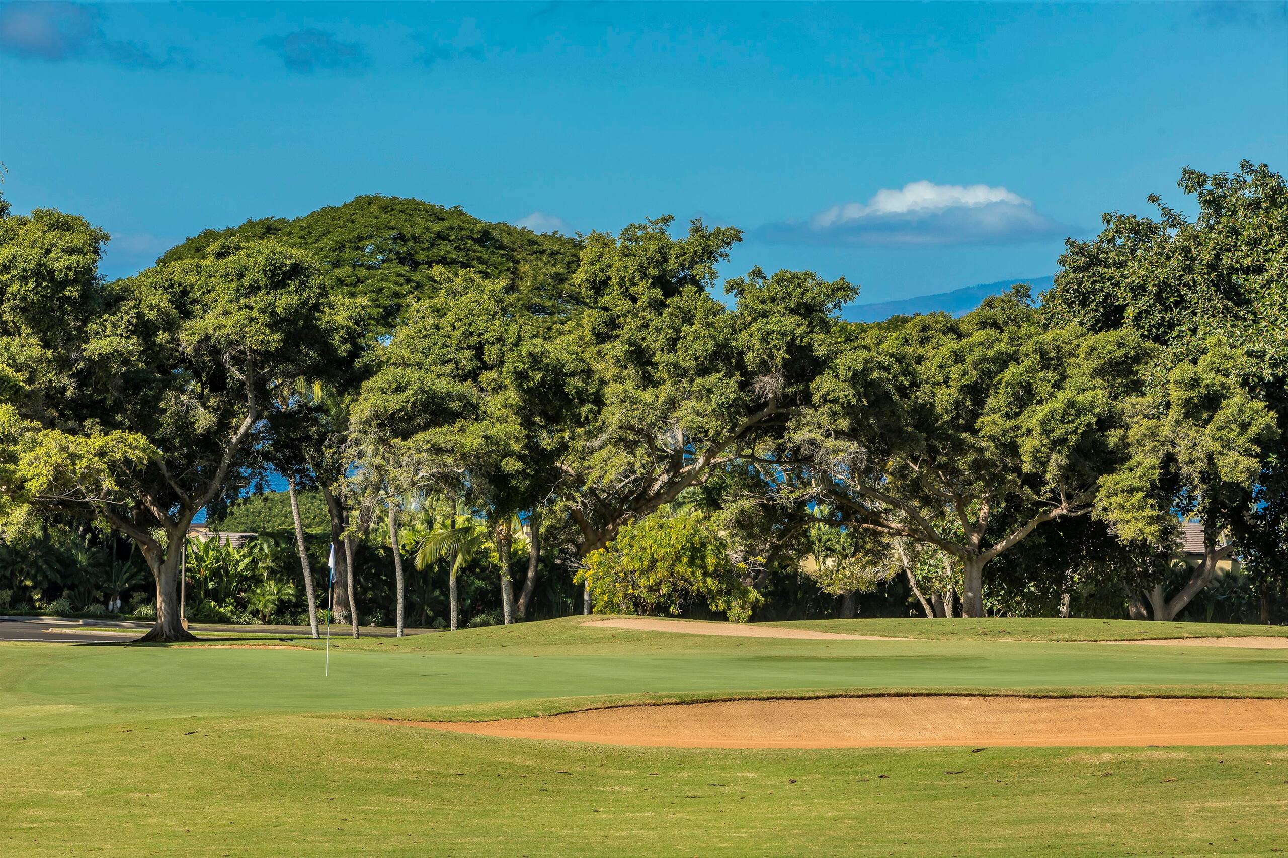 Condo in Wailea · ★5.0 · 3 bedrooms · 4 beds · 2 baths - Image 45