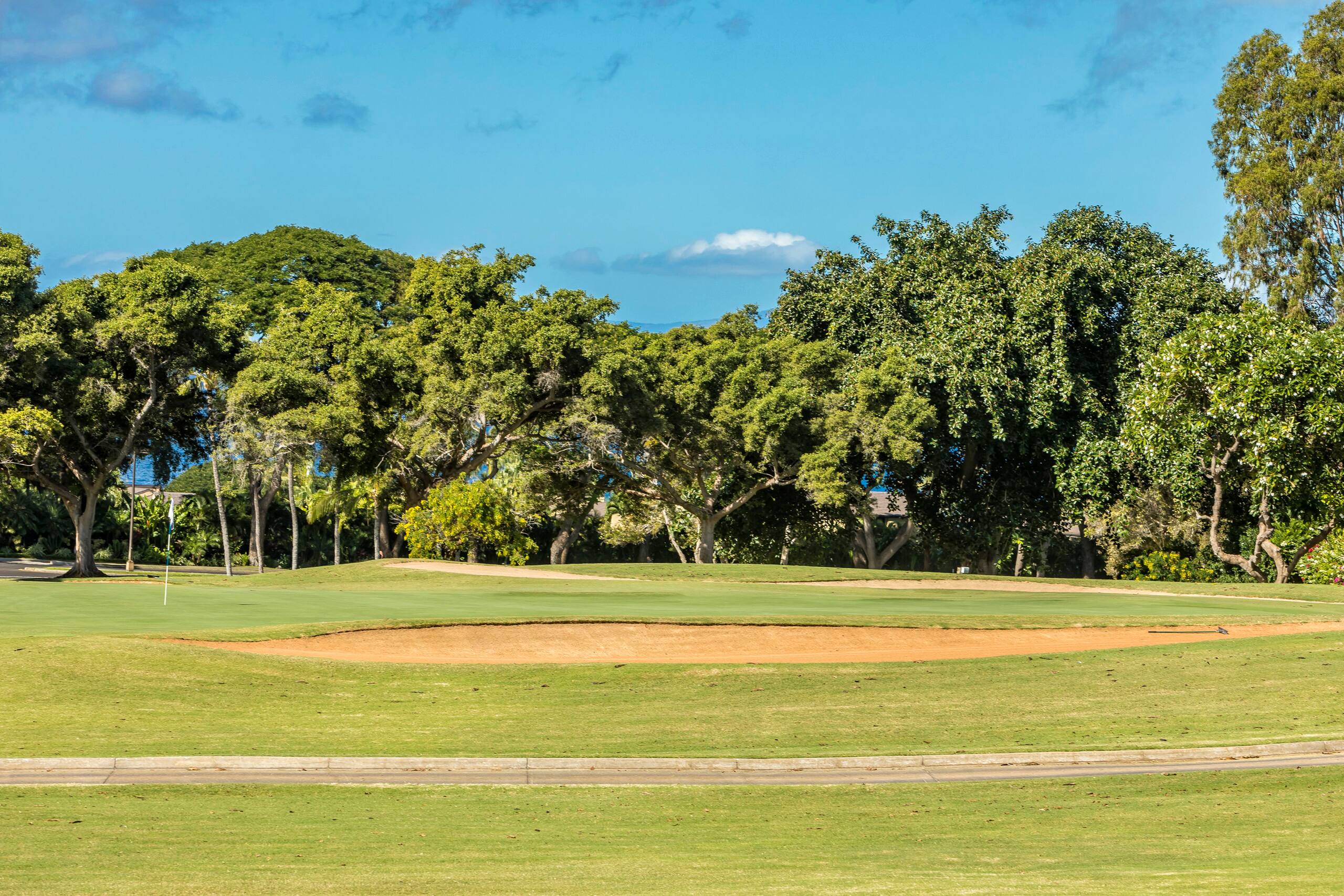 Condo in Wailea · ★5.0 · 3 bedrooms · 4 beds · 2 baths - Image 44