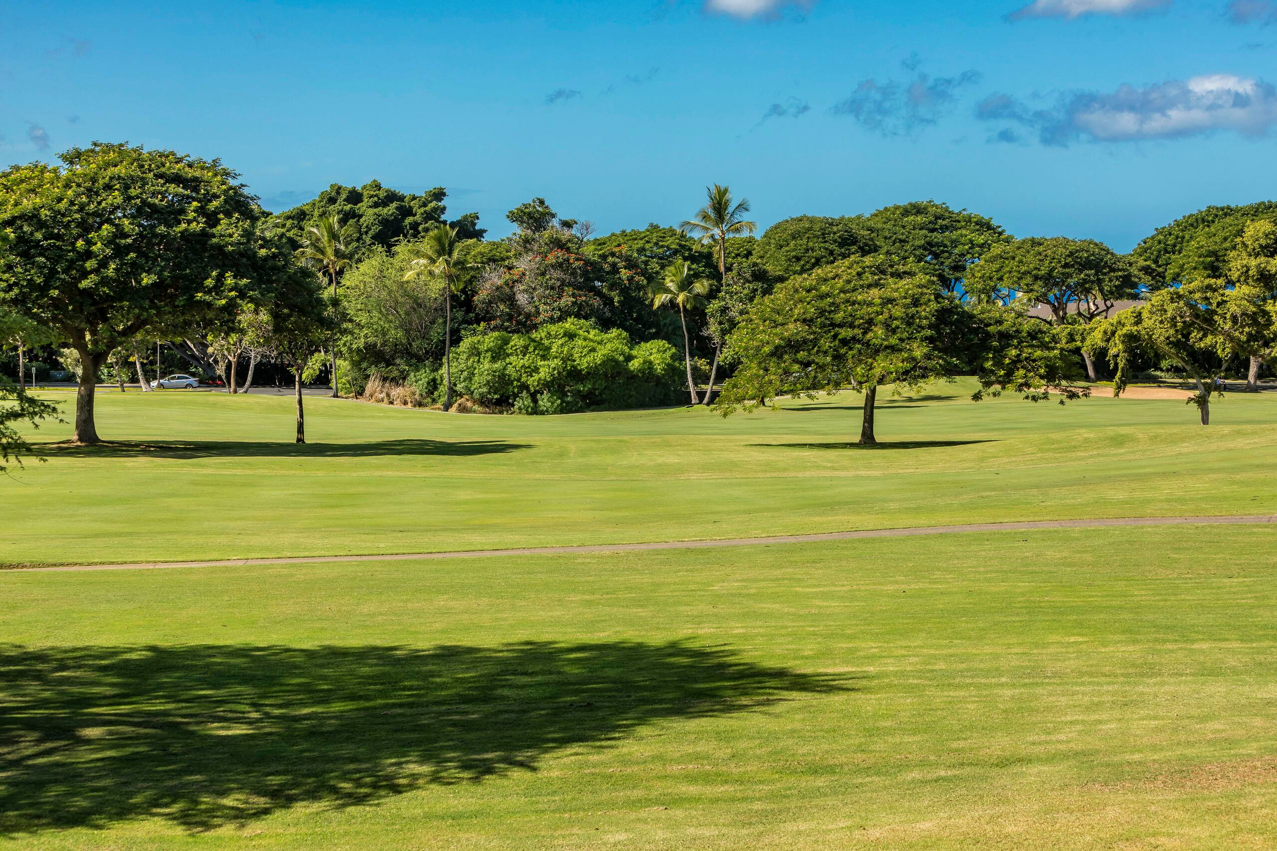 Condo in Wailea · ★5.0 · 3 bedrooms · 4 beds · 2 baths - Image 46