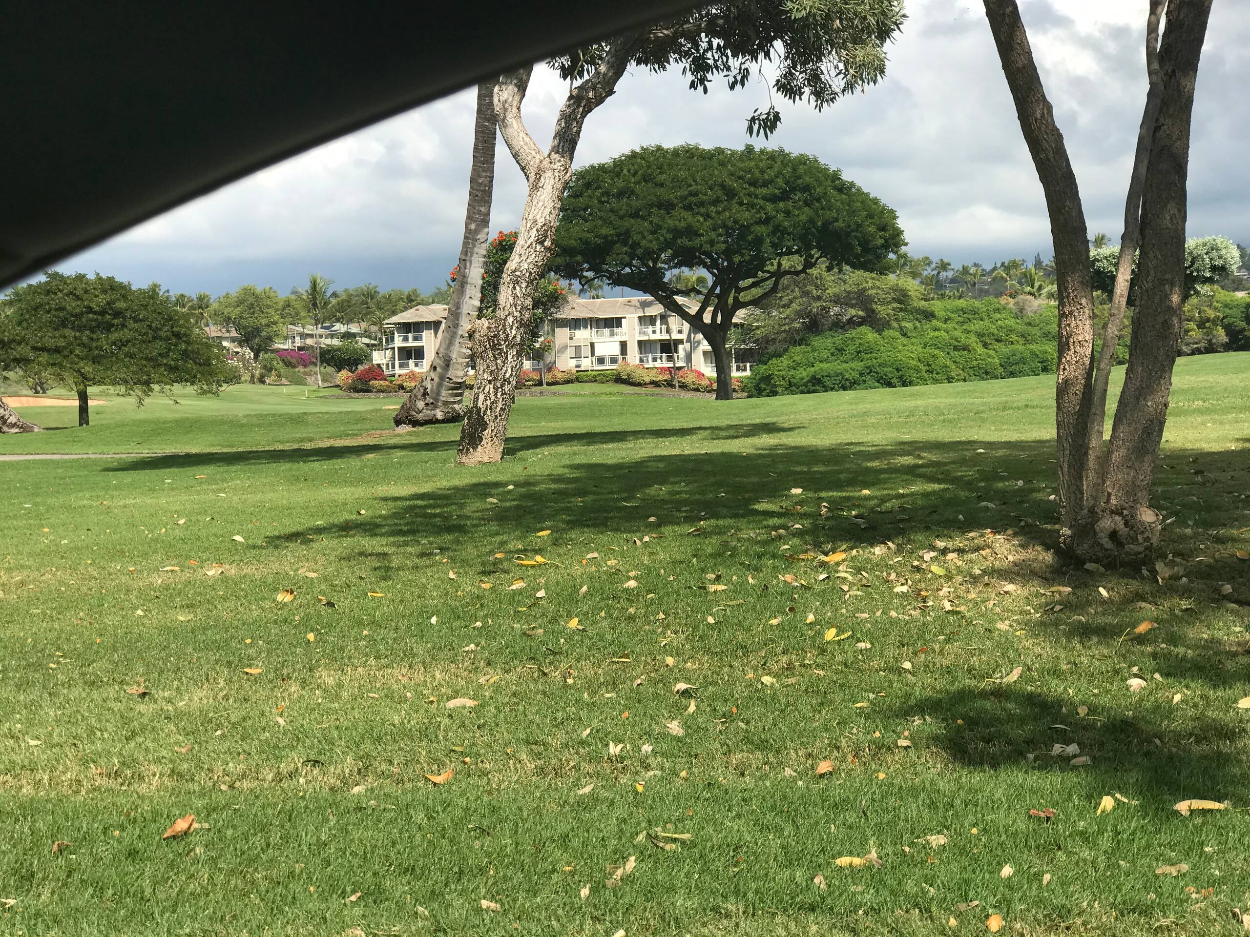 Condo in Wailea · ★5.0 · 3 bedrooms · 4 beds · 2 baths - Image 51