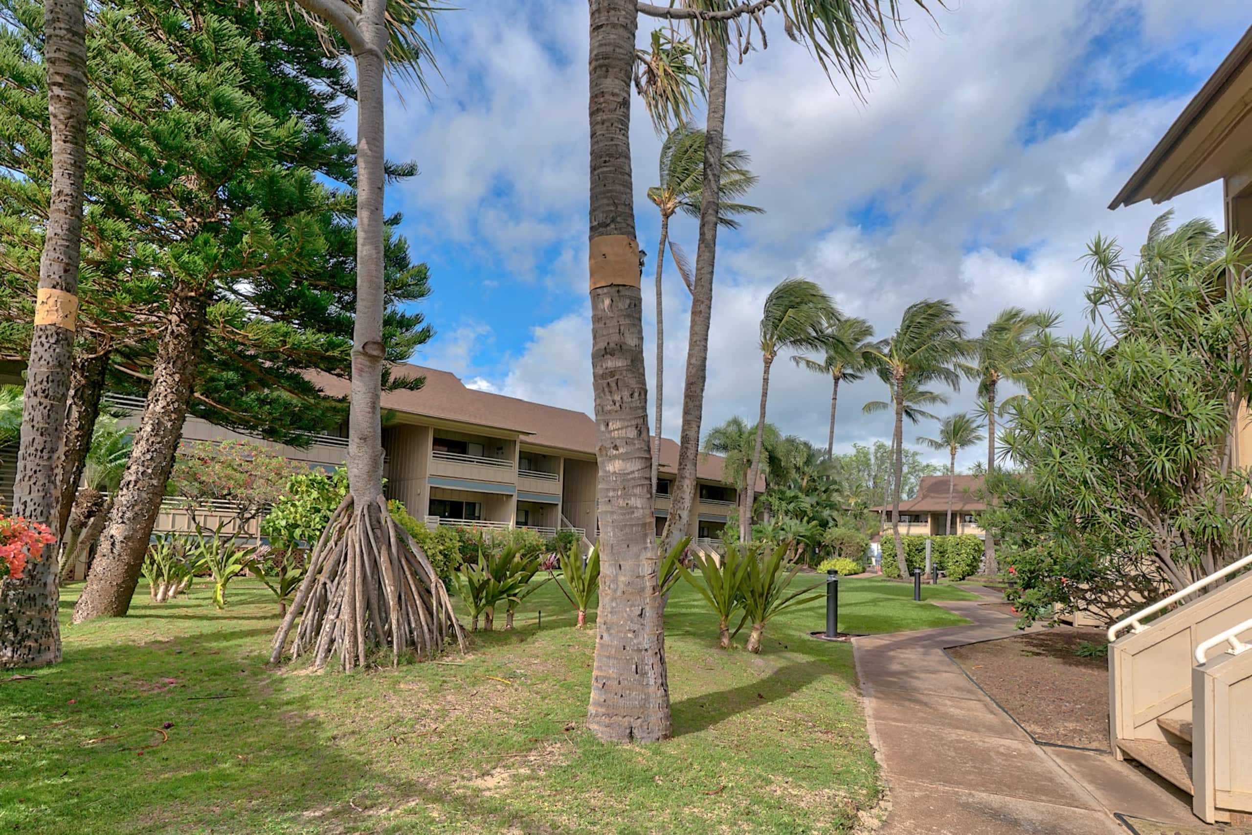 Condo in Kihei · ★4.63 · 1 bedroom · 1 bed · 1 private bath - Image 48