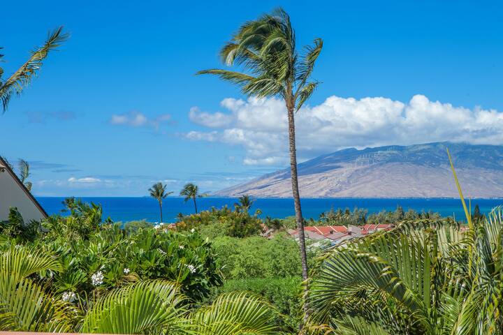 Full Ocean View, Great Rates! Wifi, MKL202