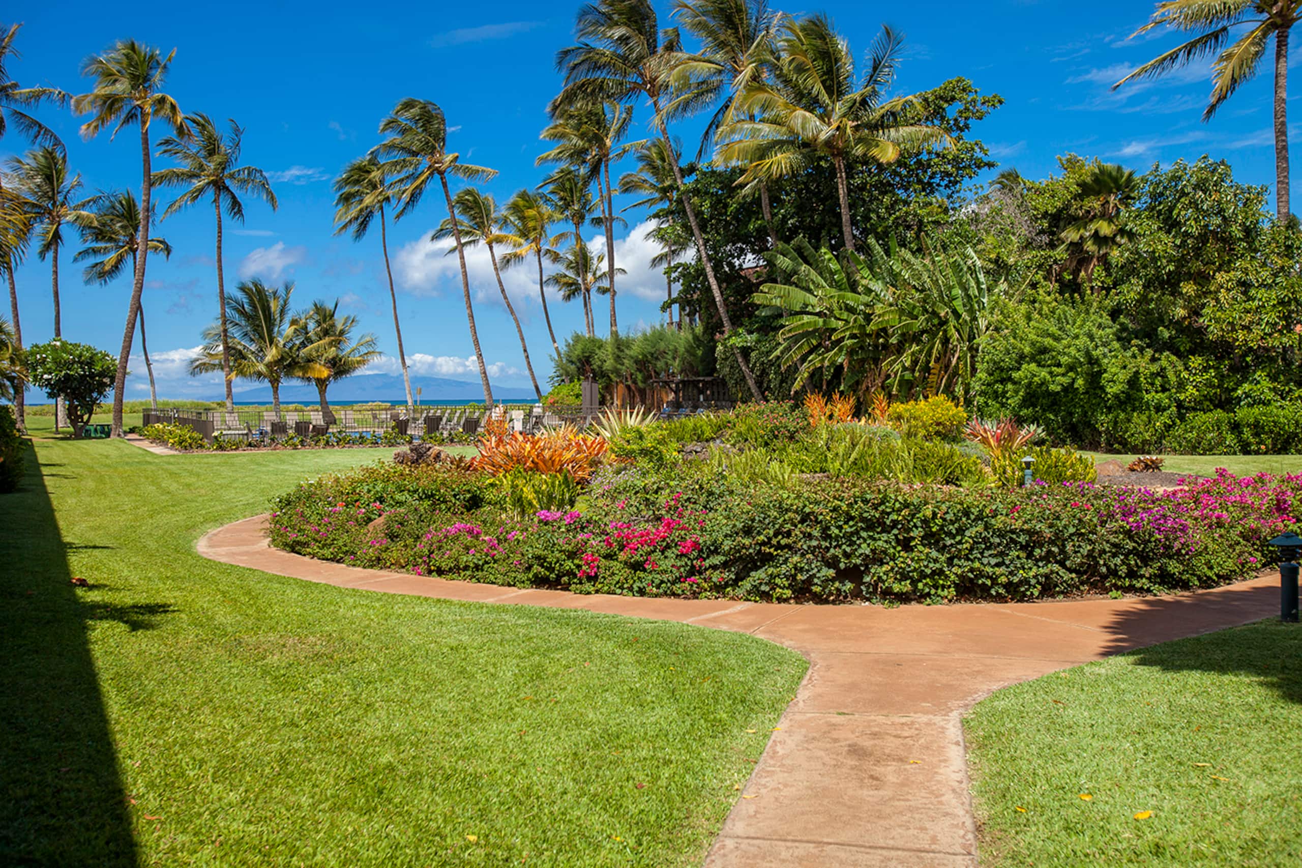 Condo in Kihei · ★4.88 · 1 bedroom · 2 beds · 1 bath - Image 25