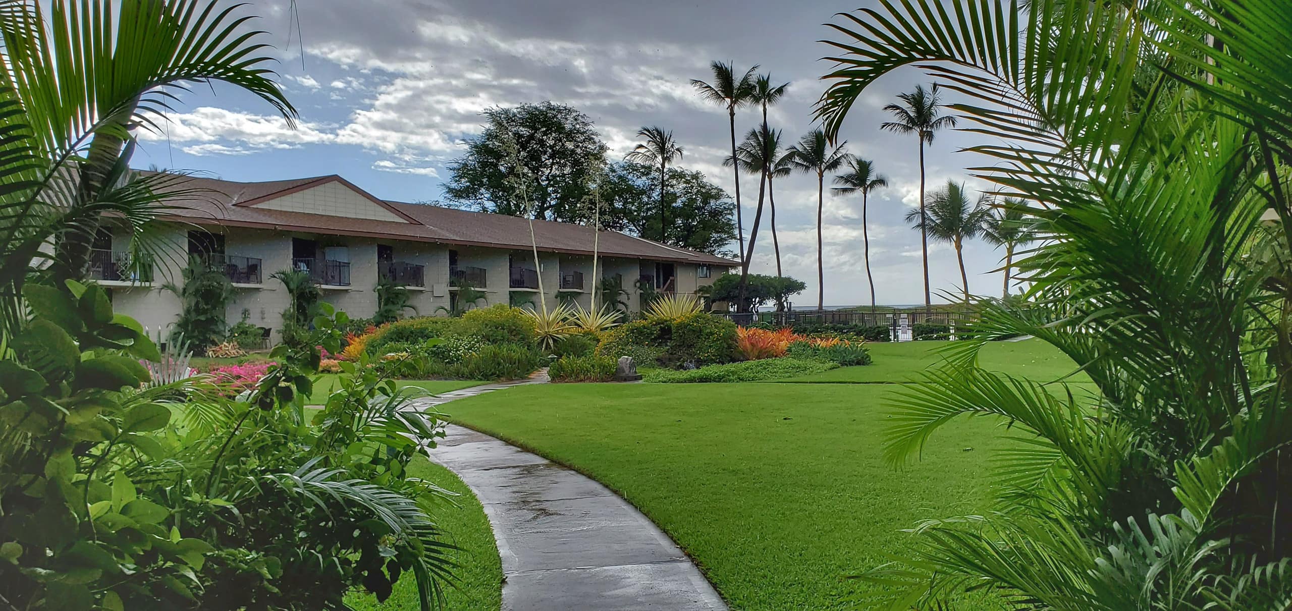 Condo in Kihei · ★4.88 · 1 bedroom · 2 beds · 1 bath - Image 5