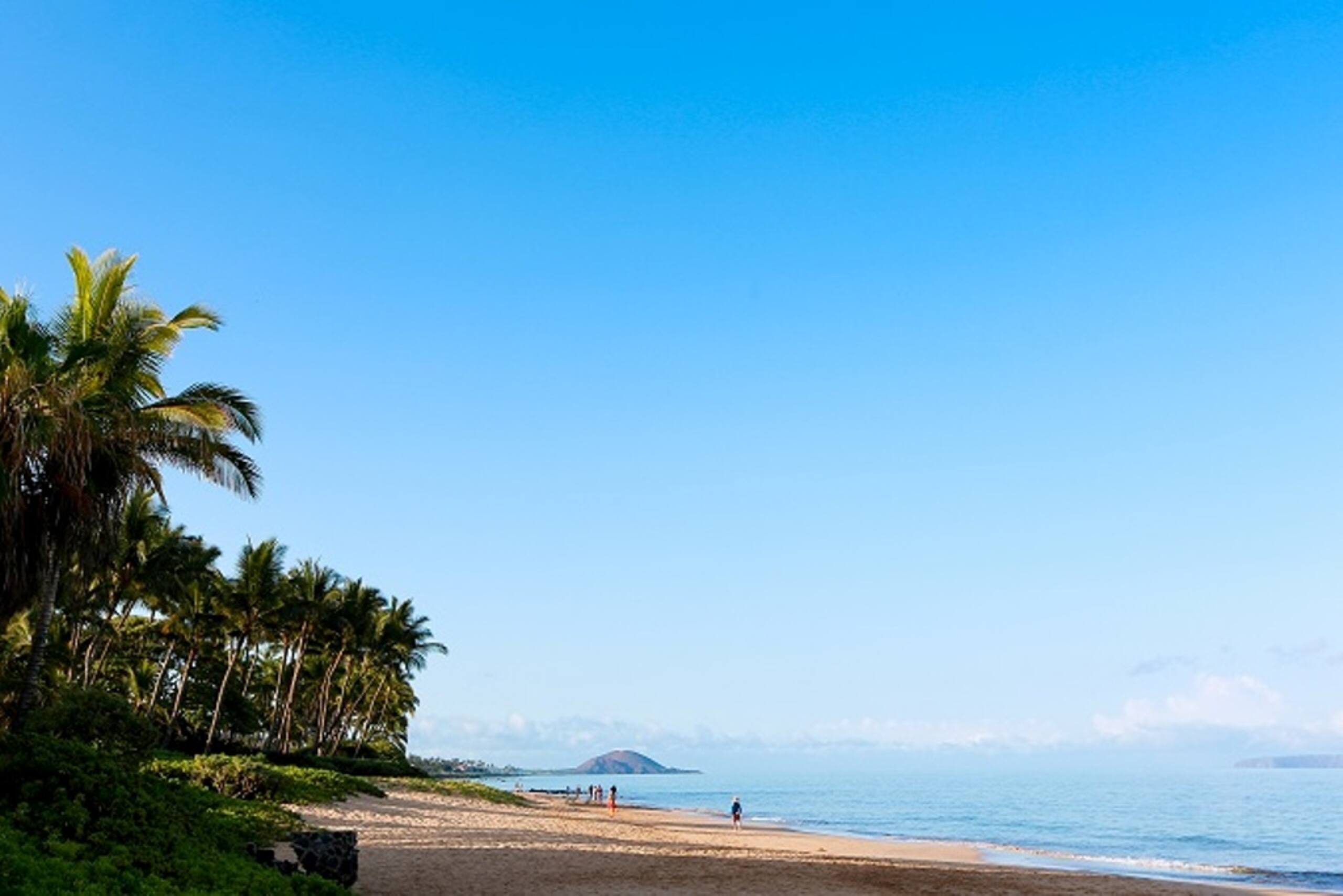 Condo in Wailea · ★5.0 · 2 bedrooms · 3 beds · 2 baths - Image 33