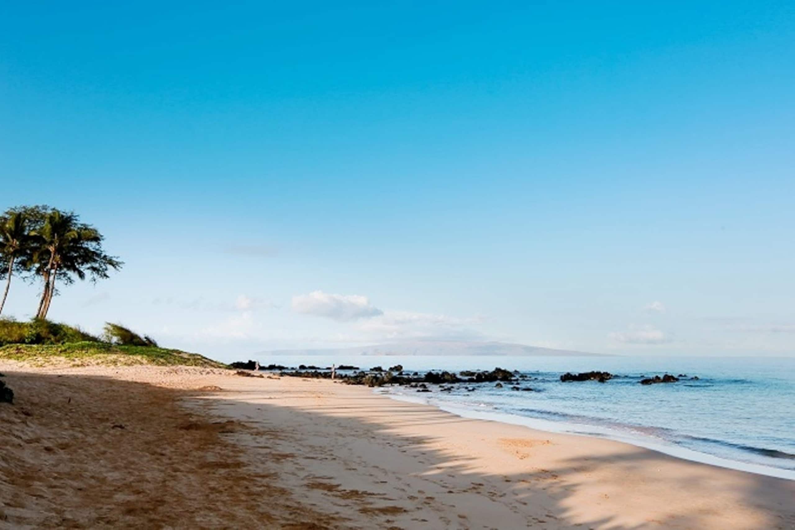 Condo in Wailea · ★5.0 · 2 bedrooms · 3 beds · 2 baths - Image 31