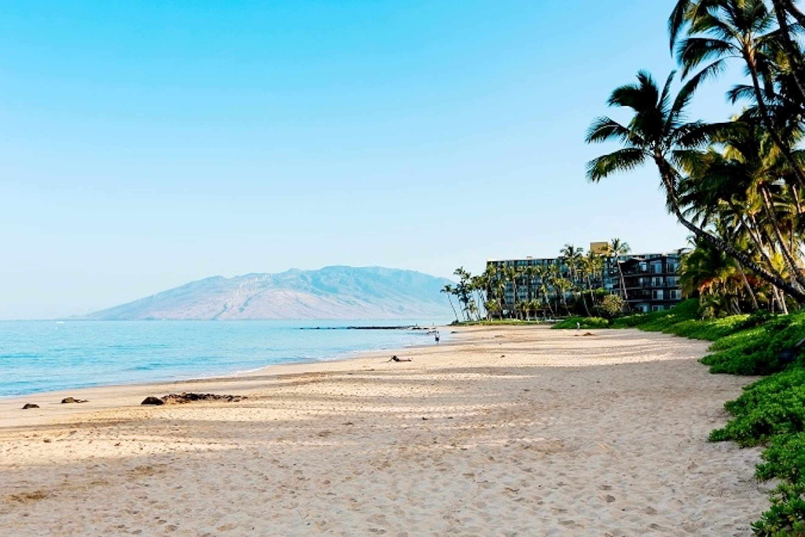Condo in Wailea · ★5.0 · 2 bedrooms · 3 beds · 2 baths - Image 38