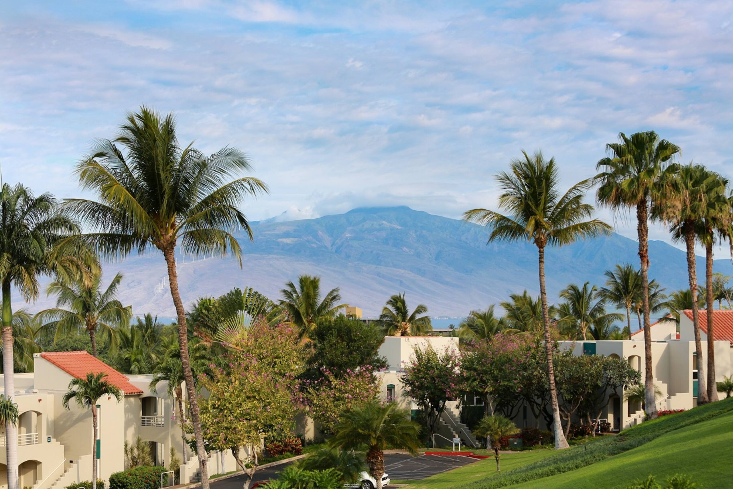 Condo in Wailea · ★5.0 · 2 bedrooms · 3 beds · 2 baths - Image 39