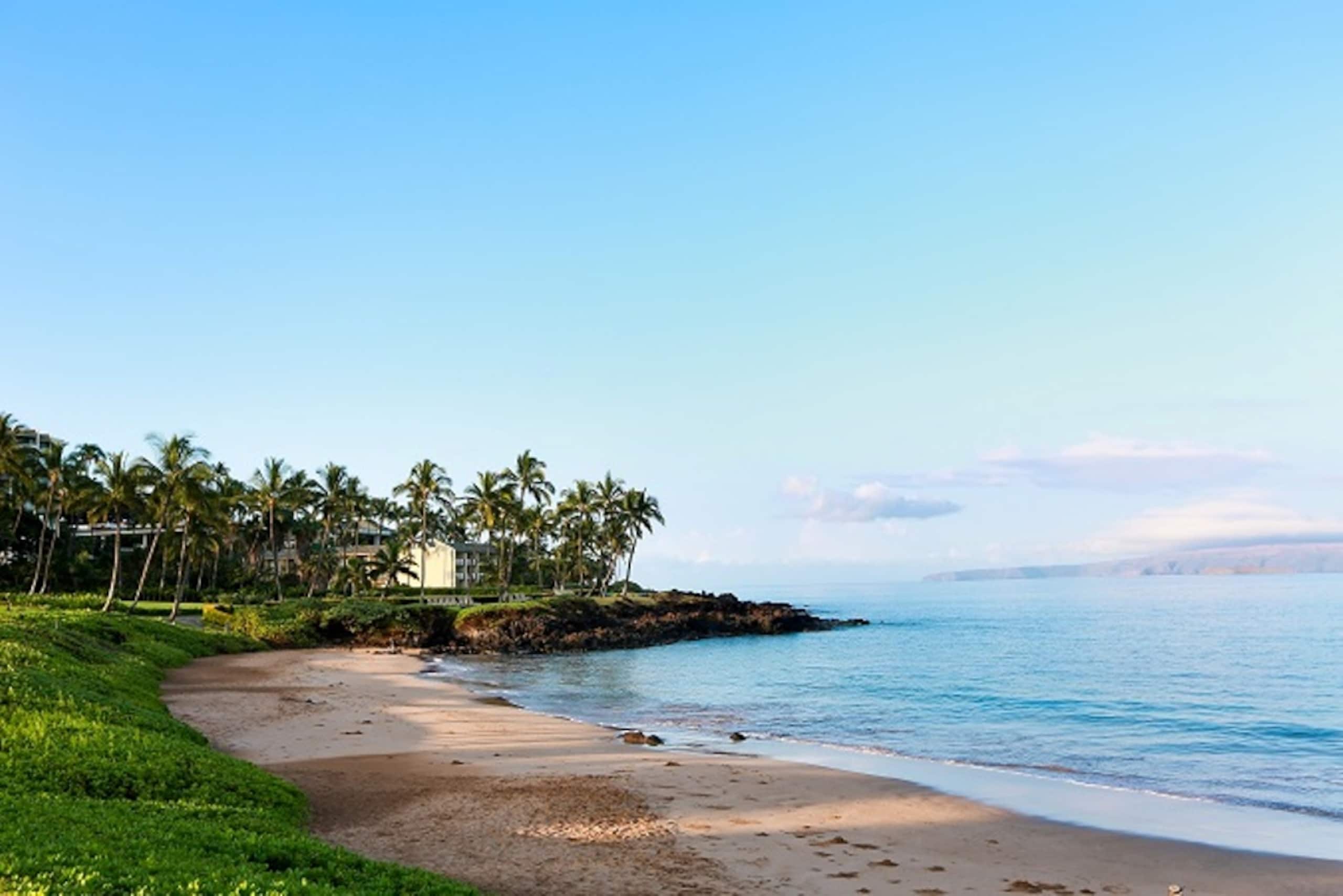 Condo in Wailea · ★5.0 · 2 bedrooms · 3 beds · 2 baths - Image 37