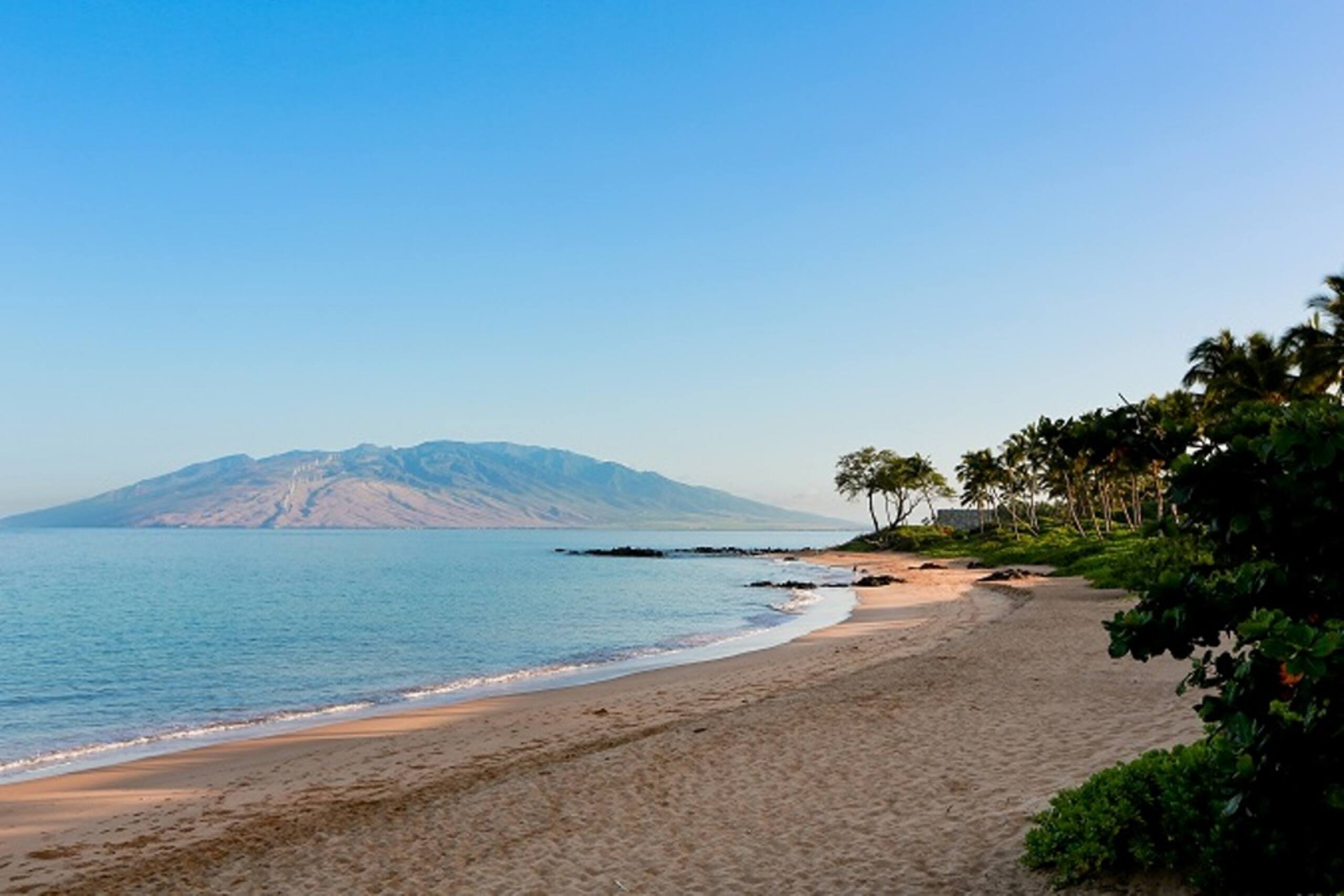 Condo in Wailea · ★5.0 · 2 bedrooms · 3 beds · 2 baths - Image 32