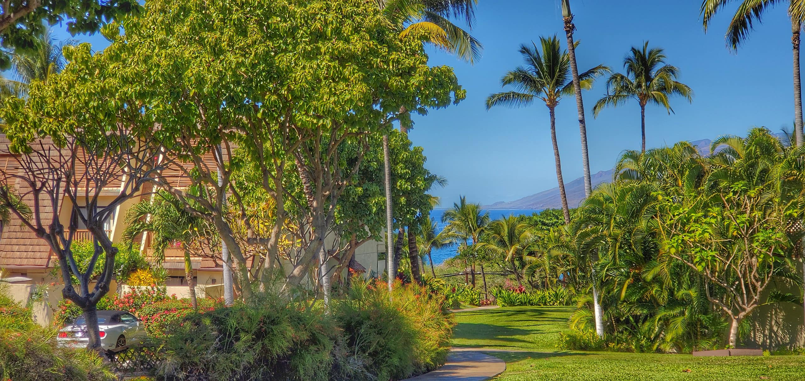 Condo in Kihei · ★4.96 · 2 bedrooms · 2 beds · 2 baths - Image 37