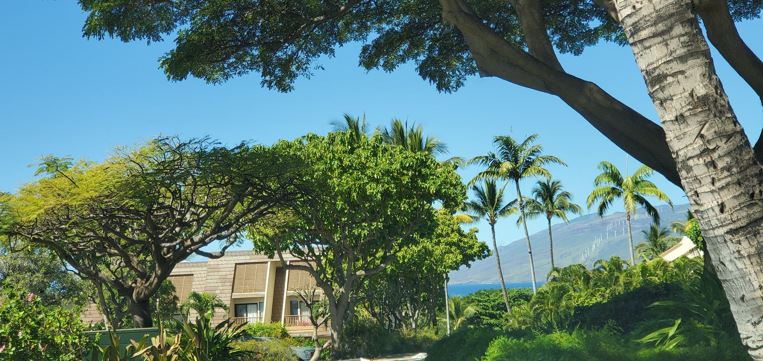 Condo in Kihei · ★4.96 · 2 bedrooms · 2 beds · 2 baths - Image 31